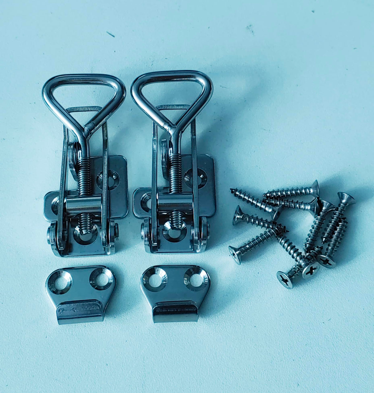 Adjustable Latch Buckle Cabinet Boxes Lever Handle Toggle Catch Latch Lock (2 Count)