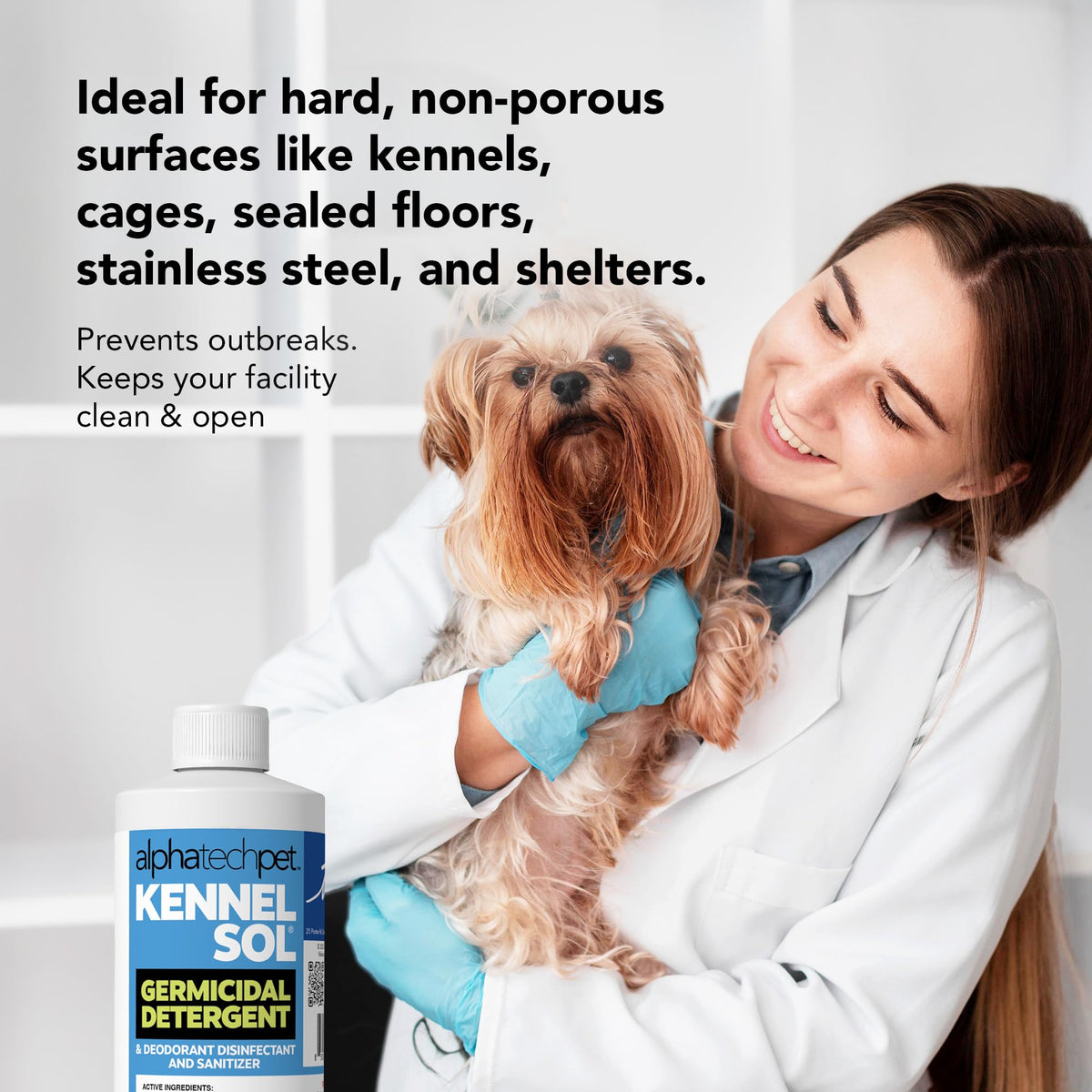 KennelSol Disinfectant & Cleaner for Kennels (16 Fl Oz) - ModHome Supplies