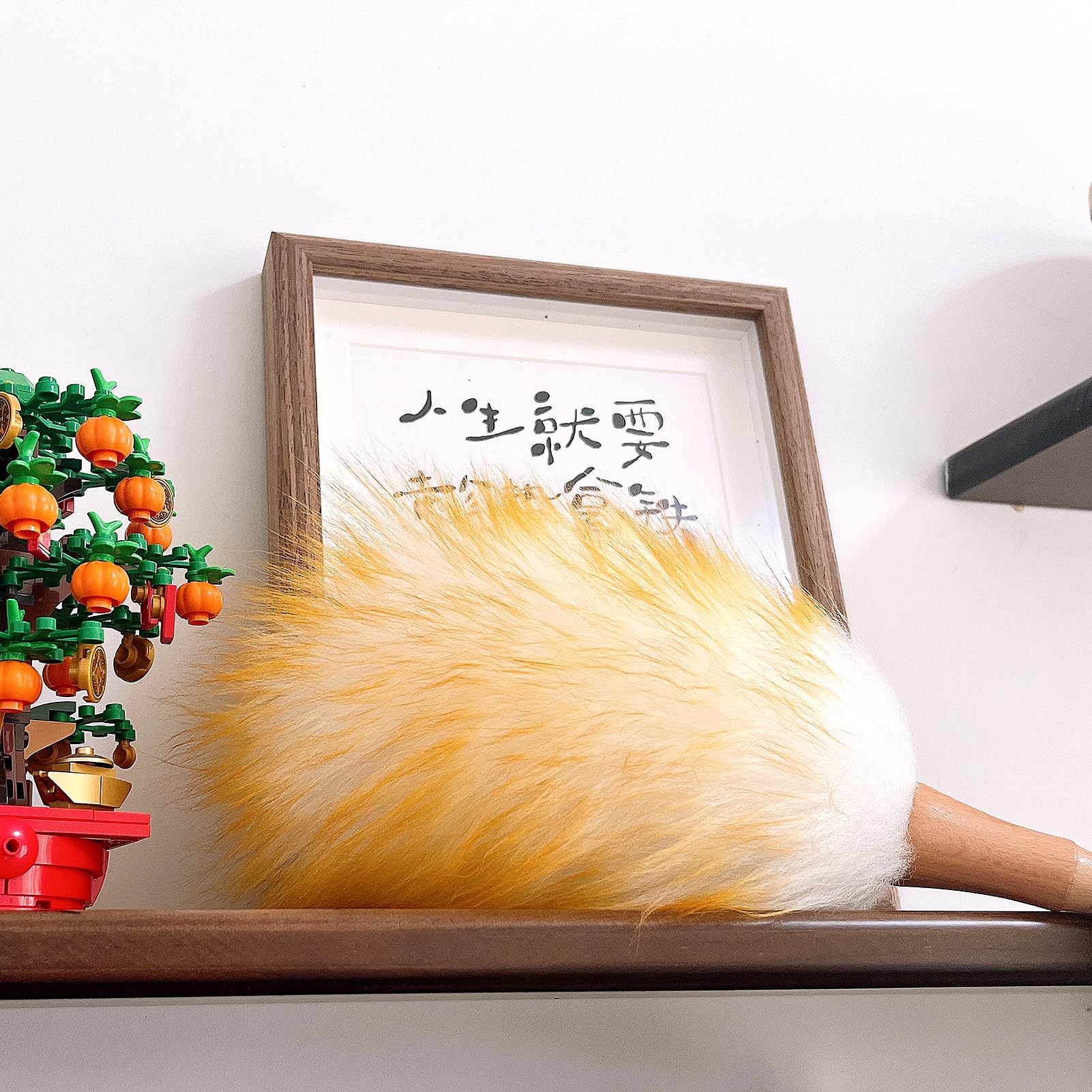 Feather Duster