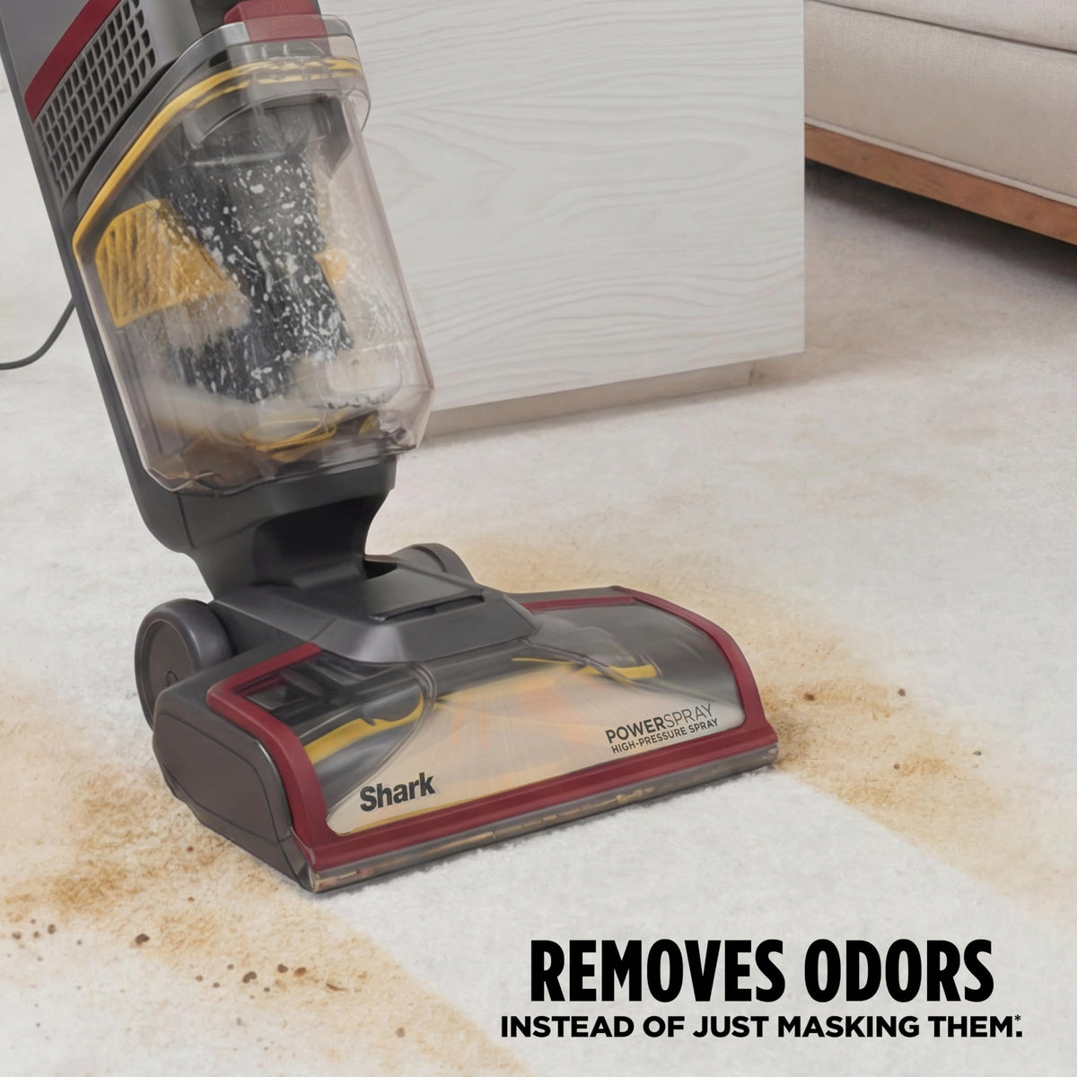 CarpetXpert HairPro