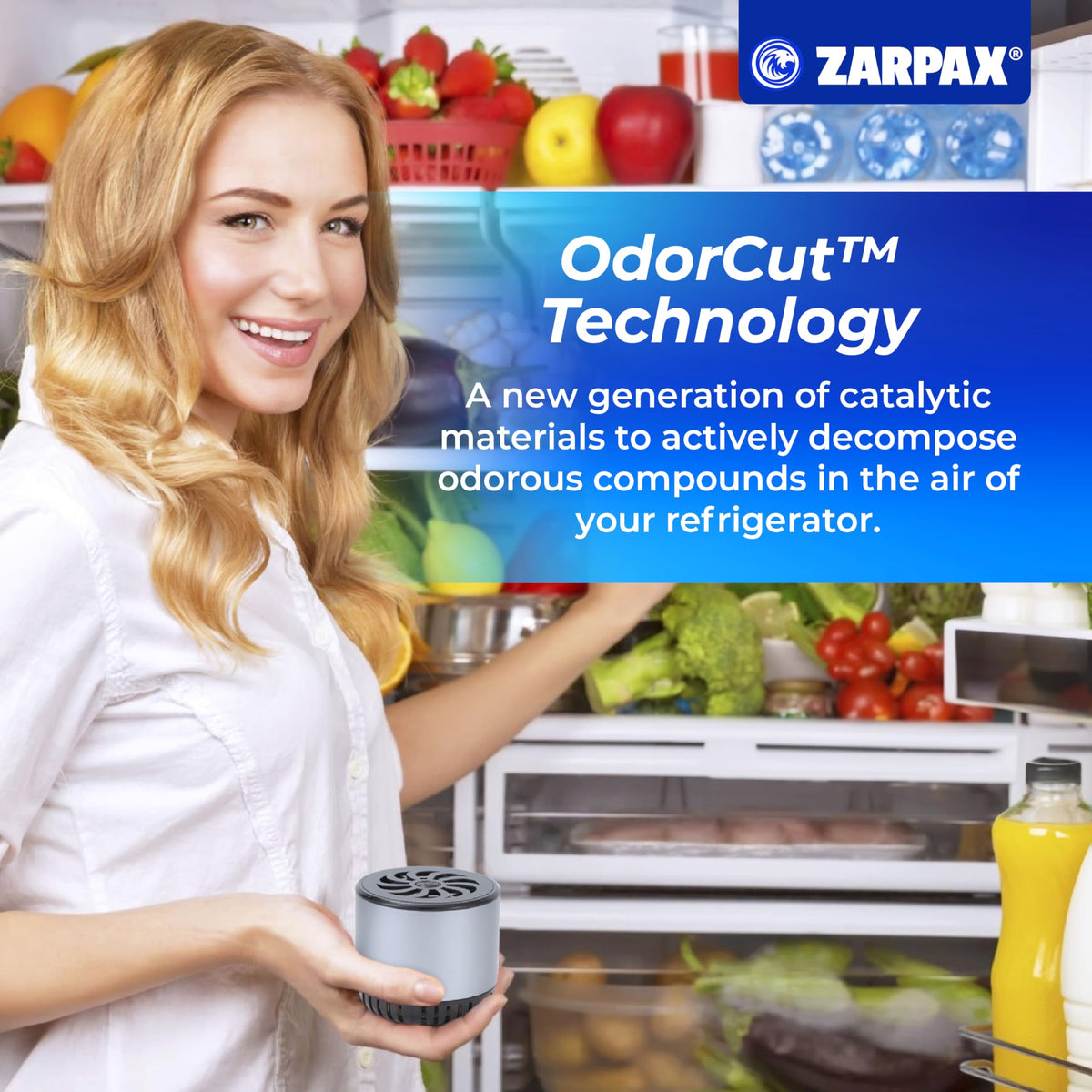 Refrigerator Deodorizer (2 Count)