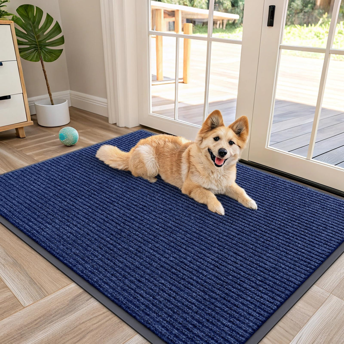 Front Door Mat 47x34
