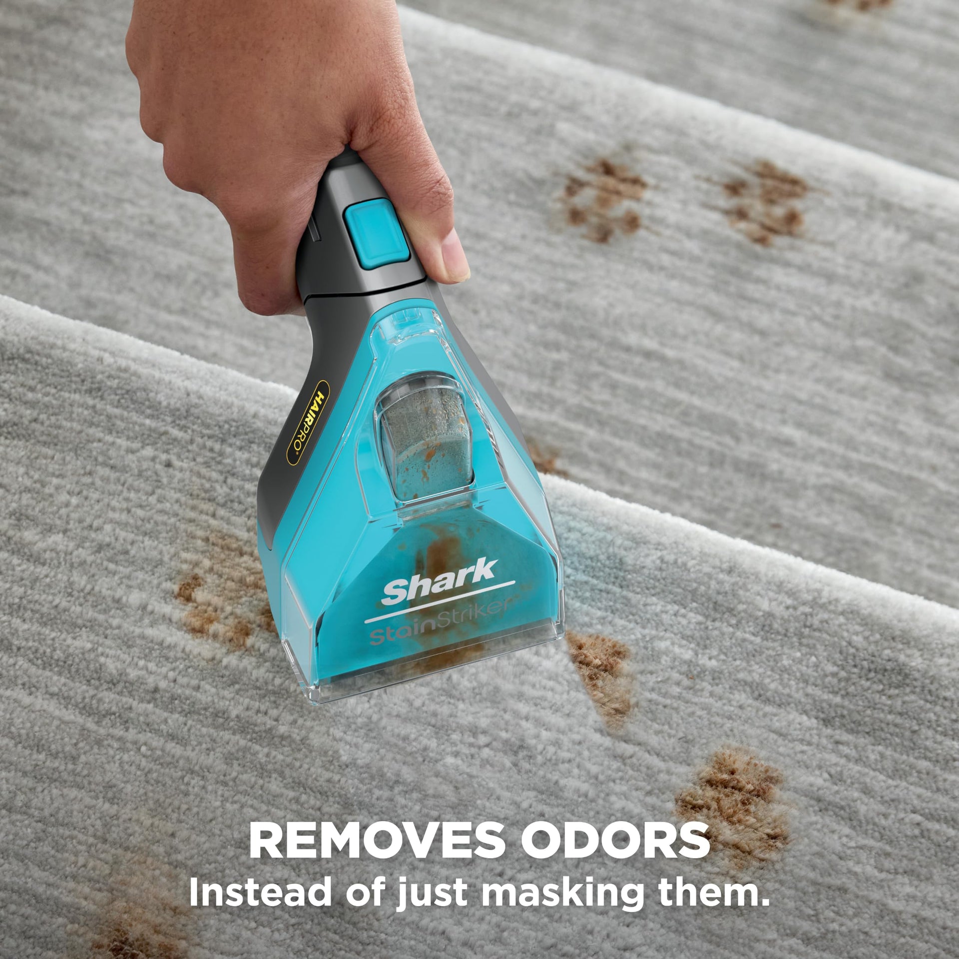 StainStriker HairPro Portable Stain Cleaner
