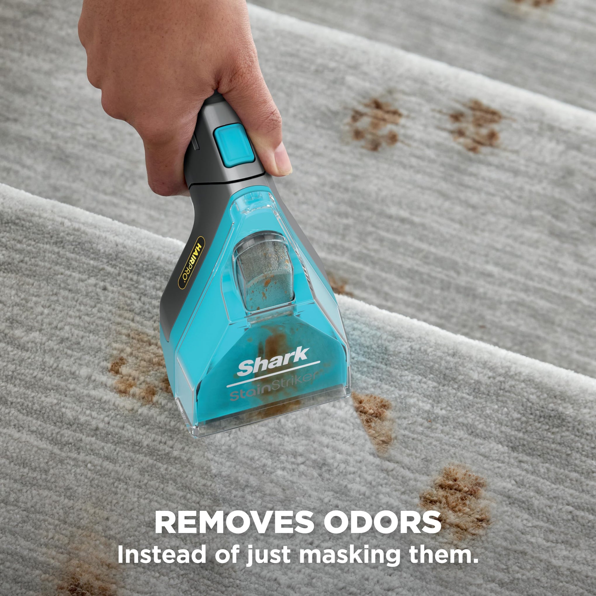 StainStriker HairPro Portable Stain Cleaner