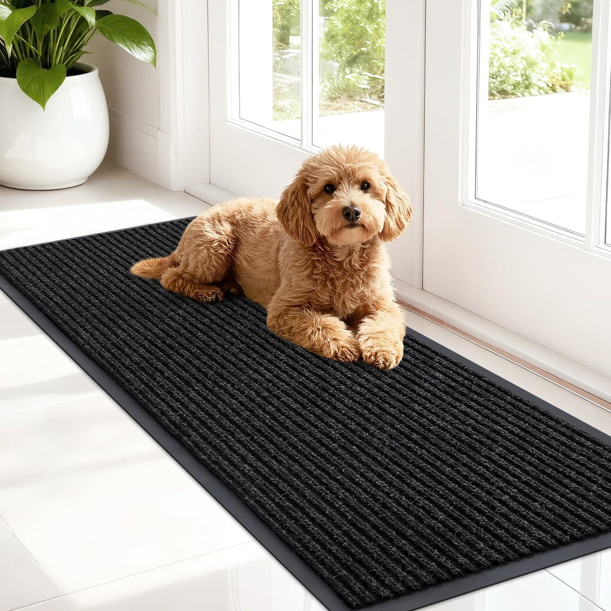 Front Door Mat 47x17