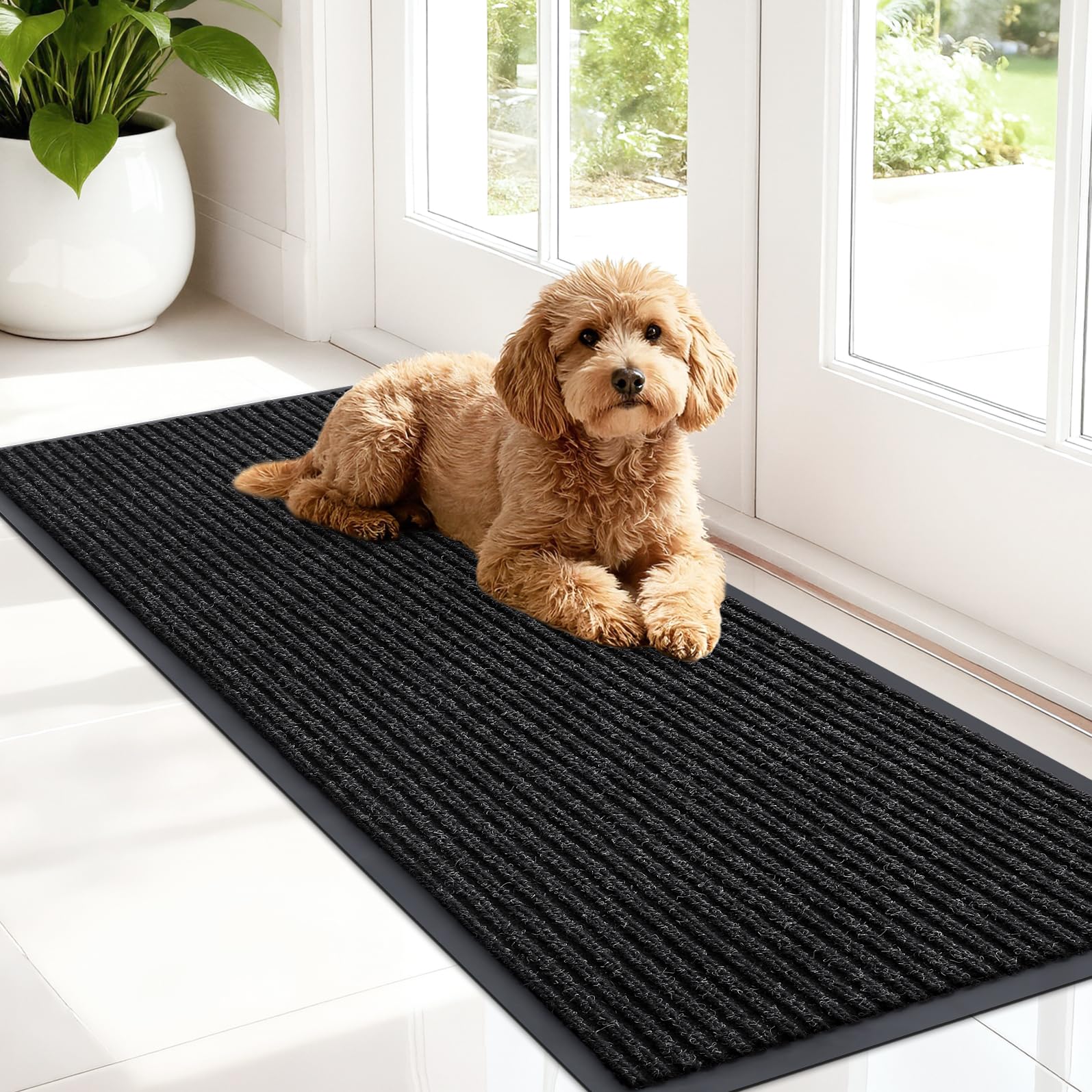 Front Door Mat 47x17