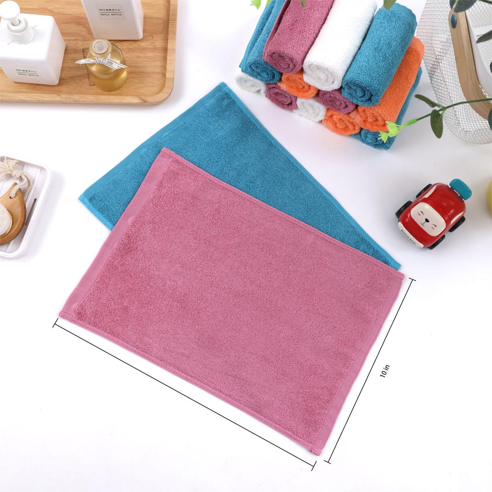 Dish Washcloths 12 Pack (12 Count)