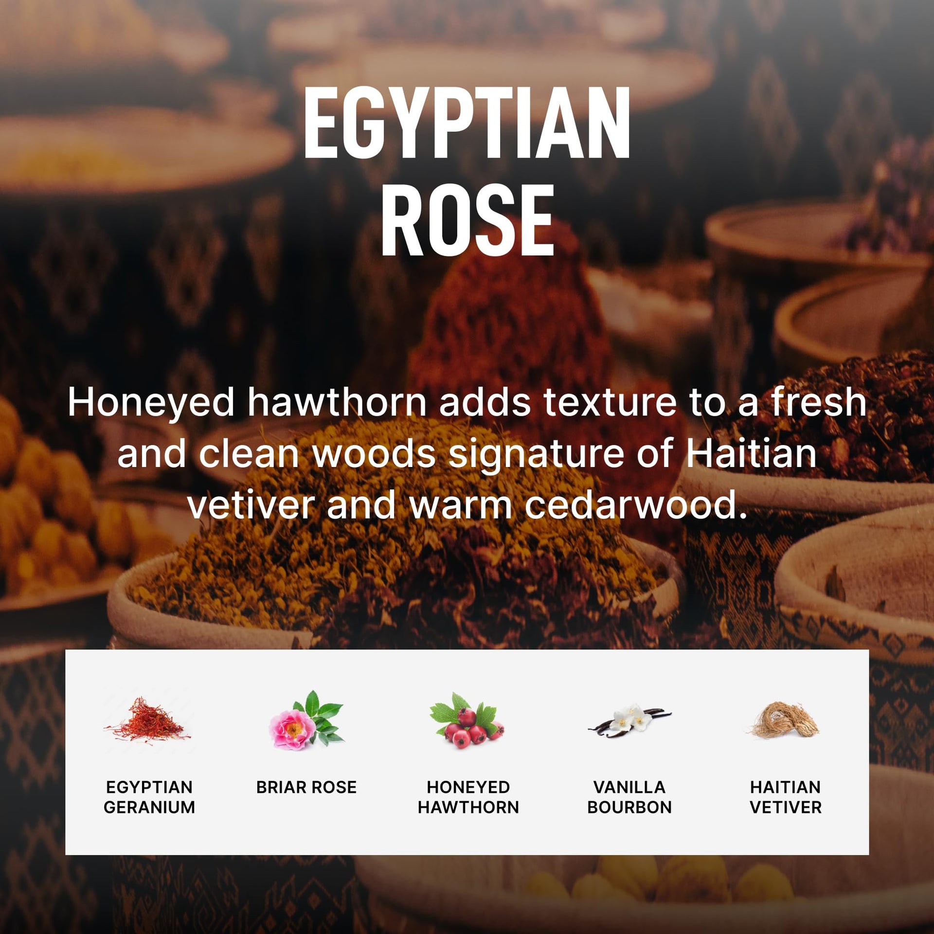 Egyptian Rose Bundle (4 Count)