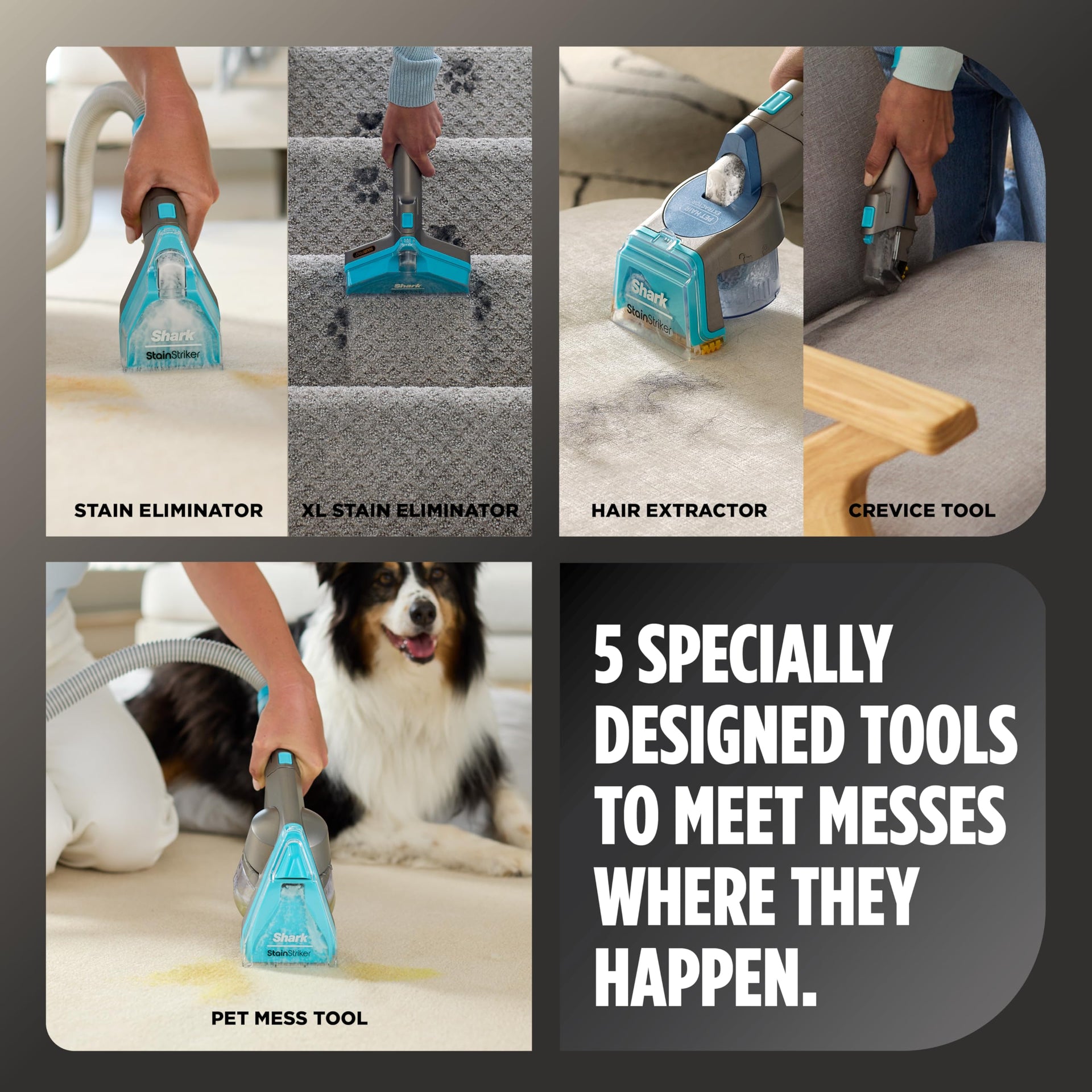 CarpetXpert HairPro StainStriker Carpet & Stain Cleaner