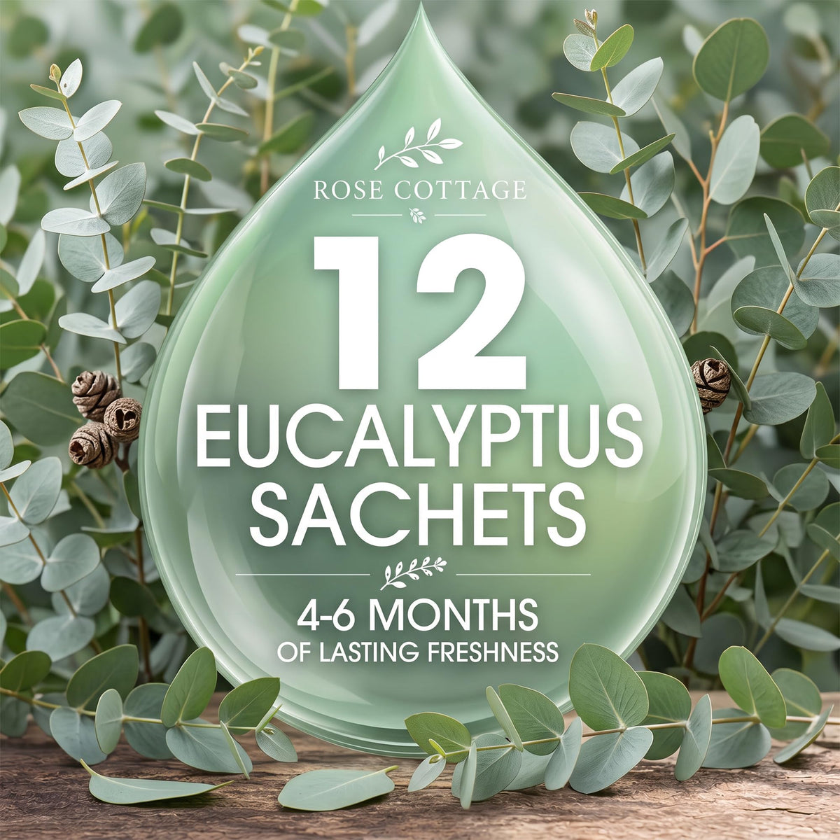 Large 12 Packs Eucalyptus Hanging Scented Sachets Long (12 Count)