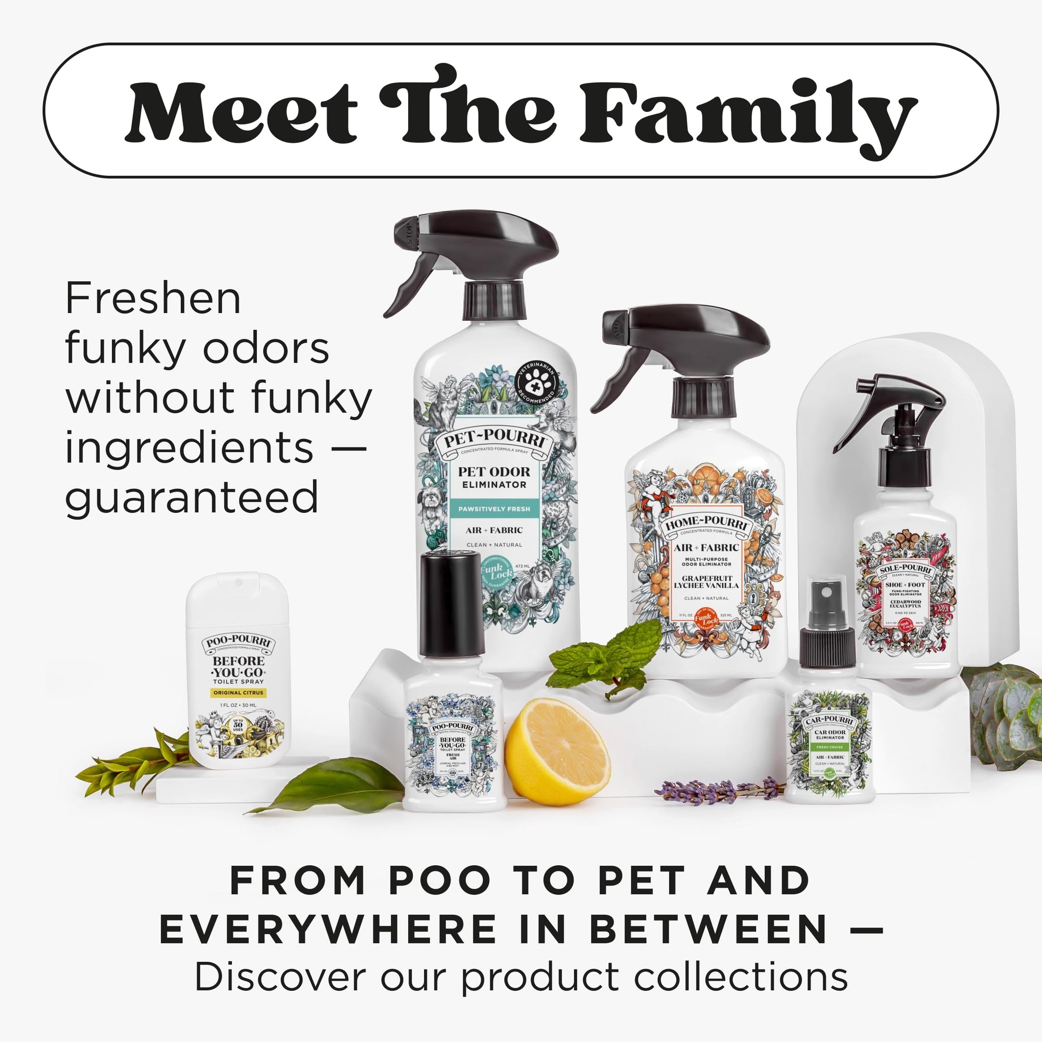 Poo~Pourri Original Citrus Before (20 Count)