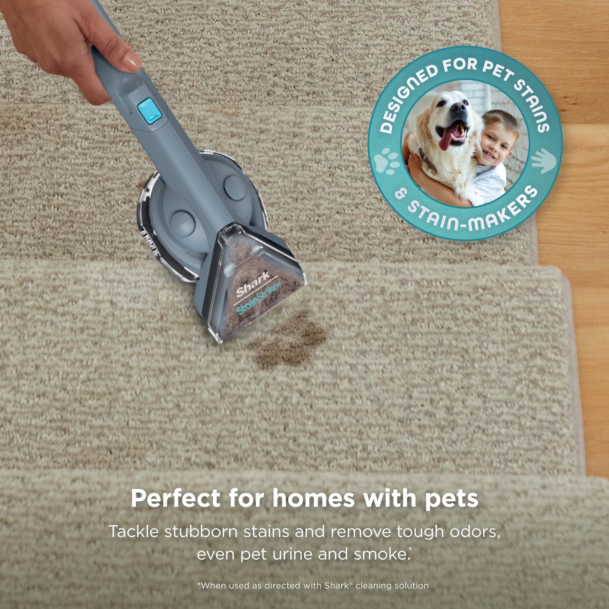 StainStriker Portable Carpet