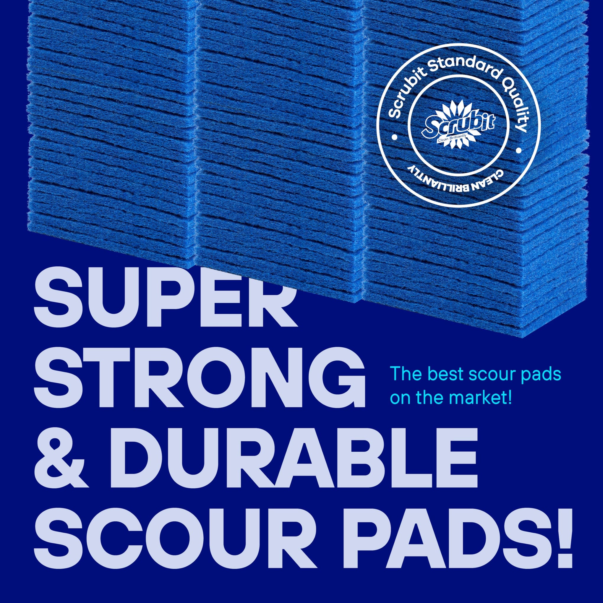 50 Pack Scouring Pad (50 Count)