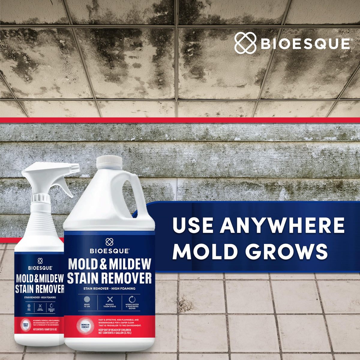 Mold & Mildew Stain Remover (128 Fl Oz)