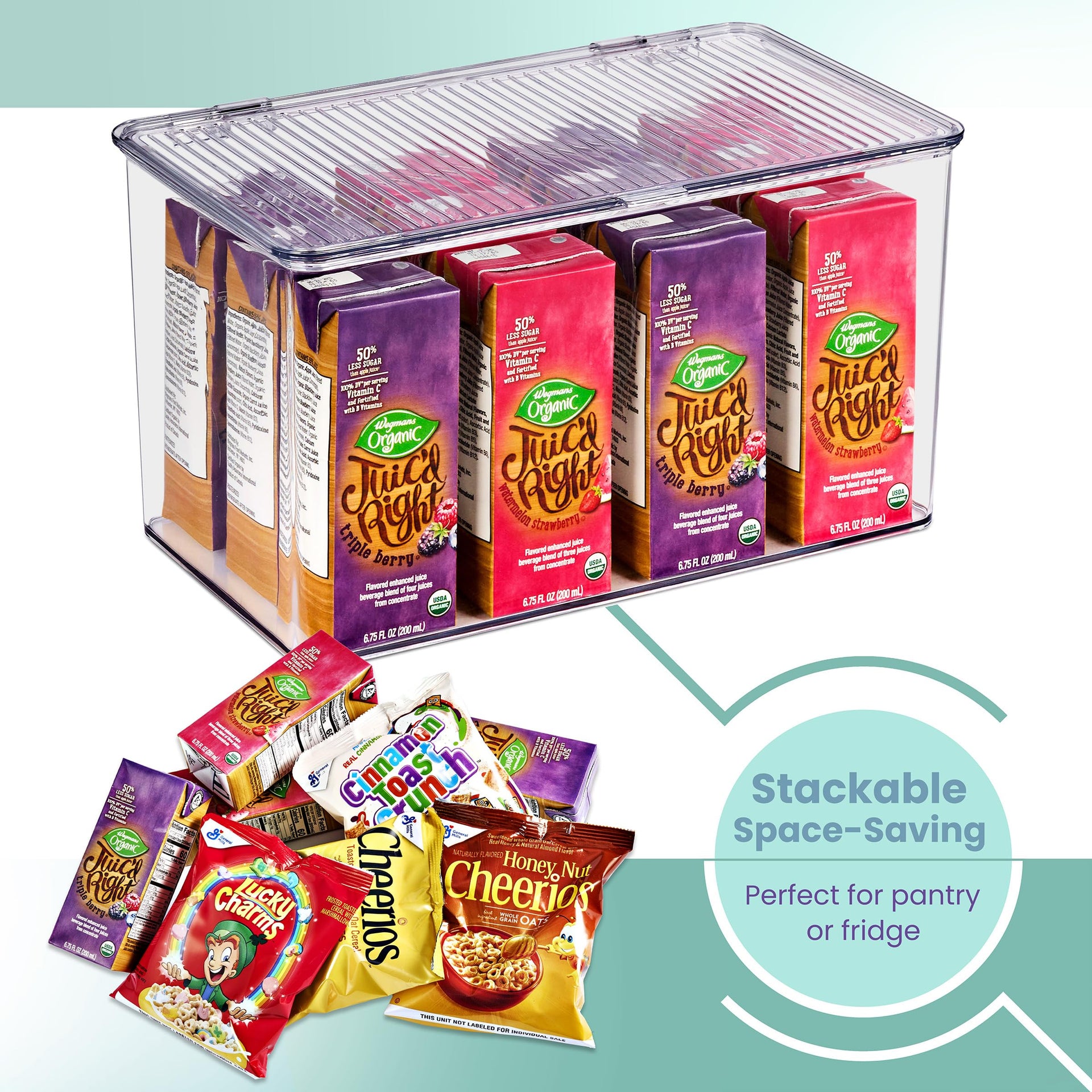 3 Pack Clear Plastic Storage Bins with Lids