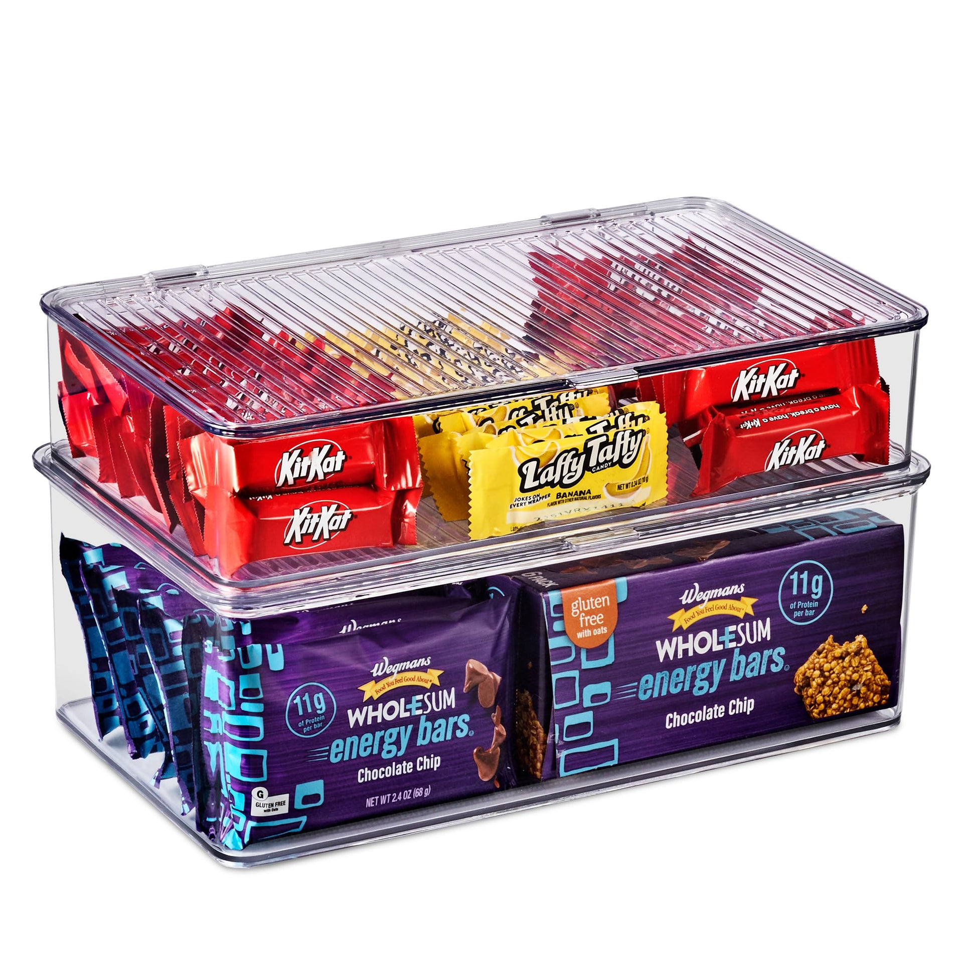 Sturdy Plastic Storage Bins with Lid (2 Count)