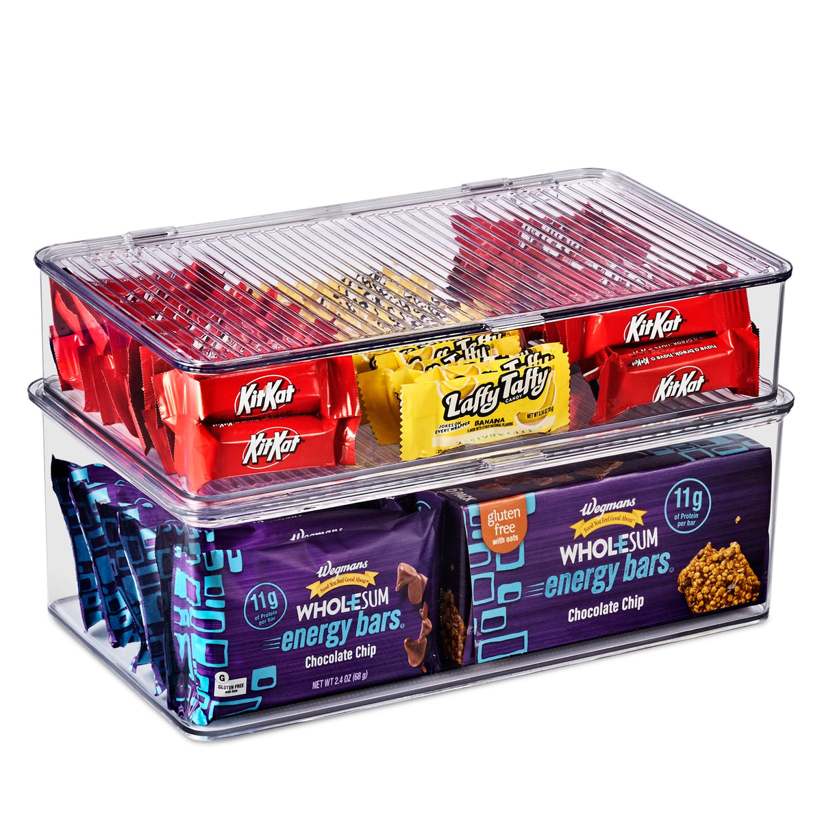 Sturdy Plastic Storage Bins with Lid (2 Count)