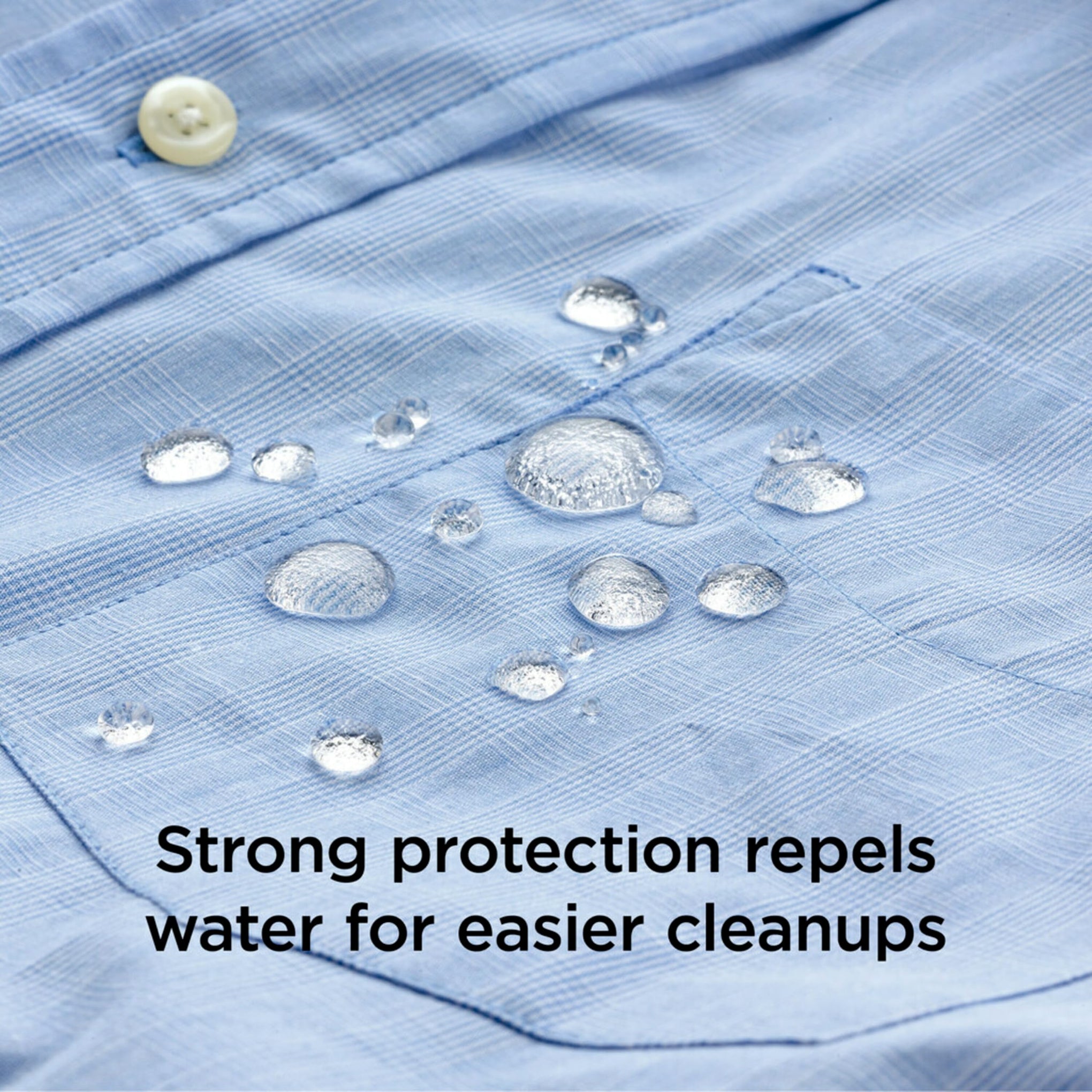 Fabric & Upholstery Protector (60 Ounce)