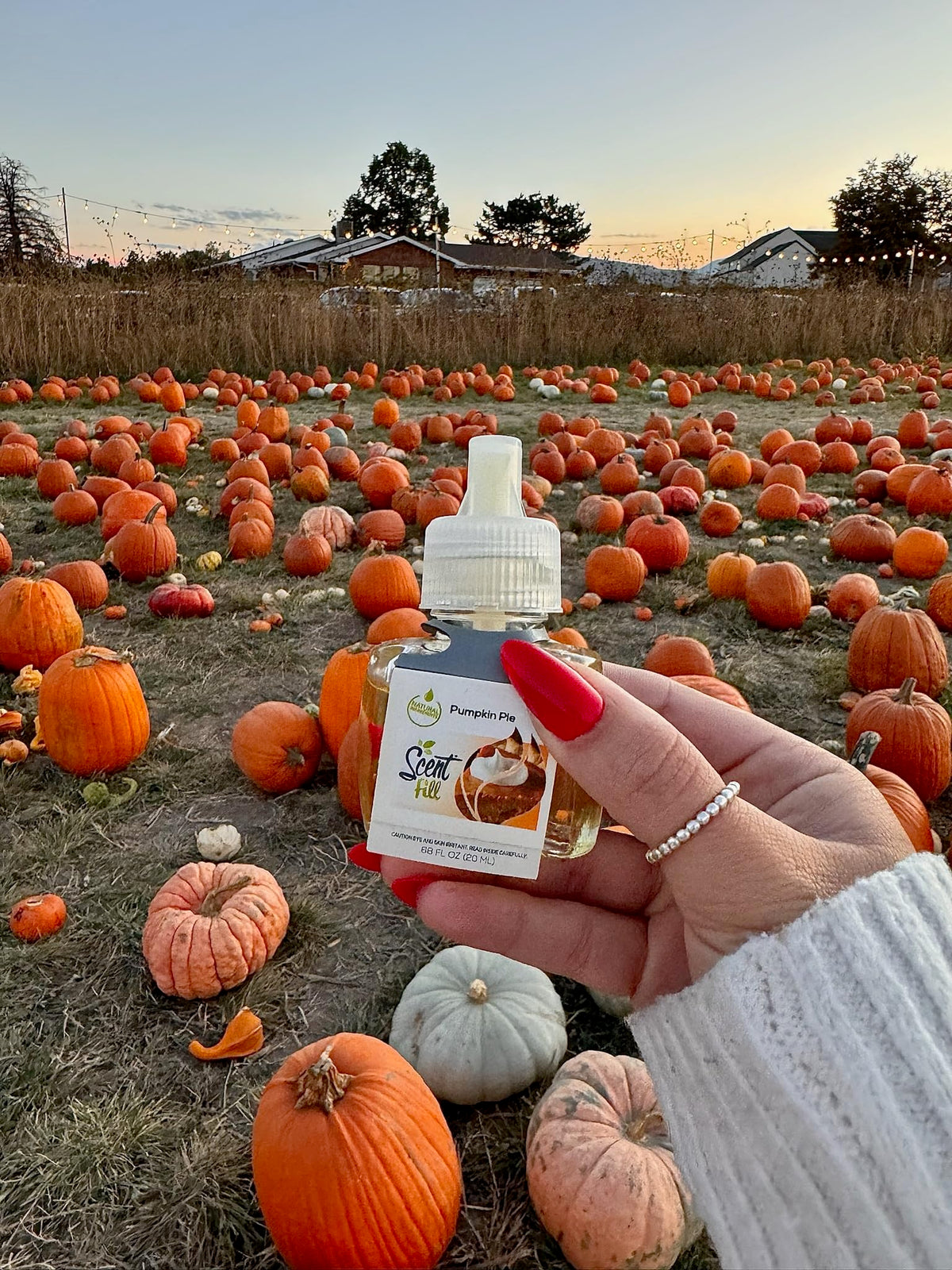 Pumpkin Pie Plug in Air Freshener (2.04 Fl Oz)