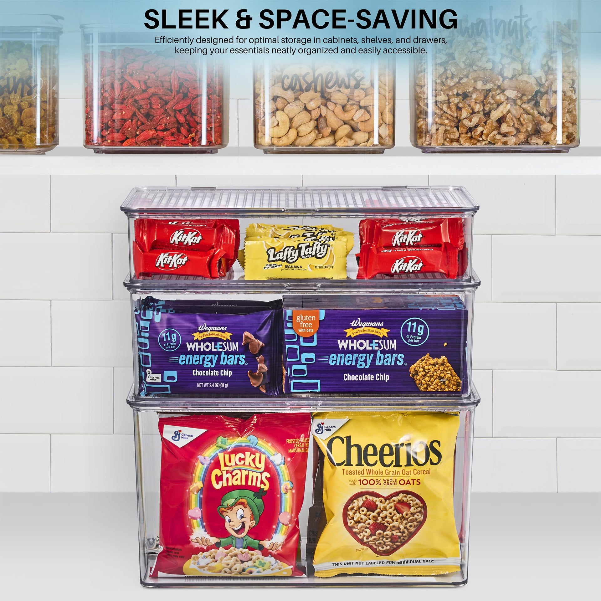 Sturdy Plastic Storage Bins with Lid (2 Count)