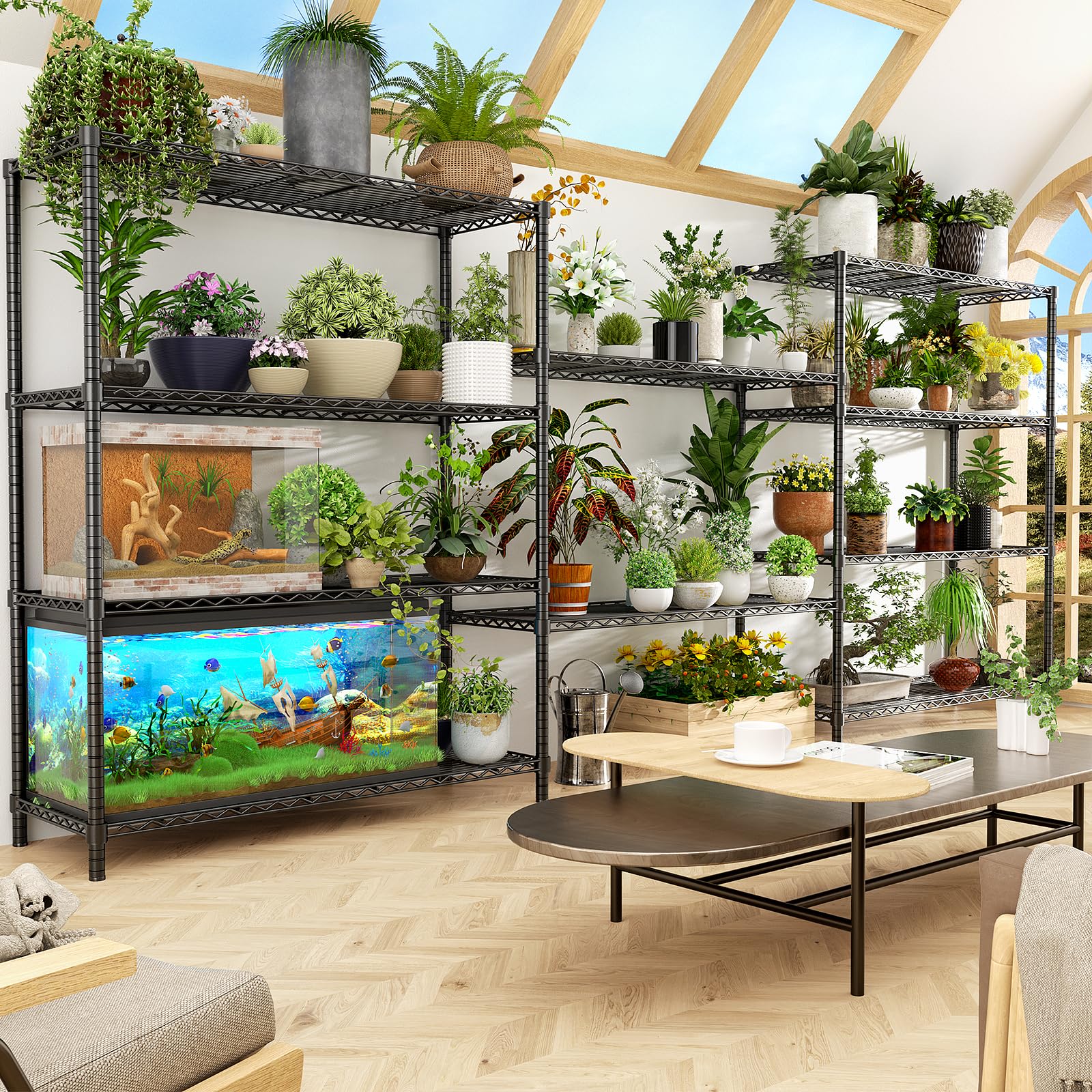 Storage Shelves (3 Count)