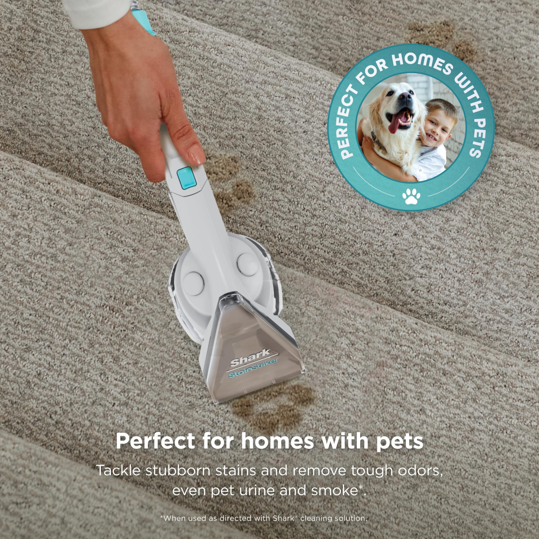 StainStriker Portable Carpet