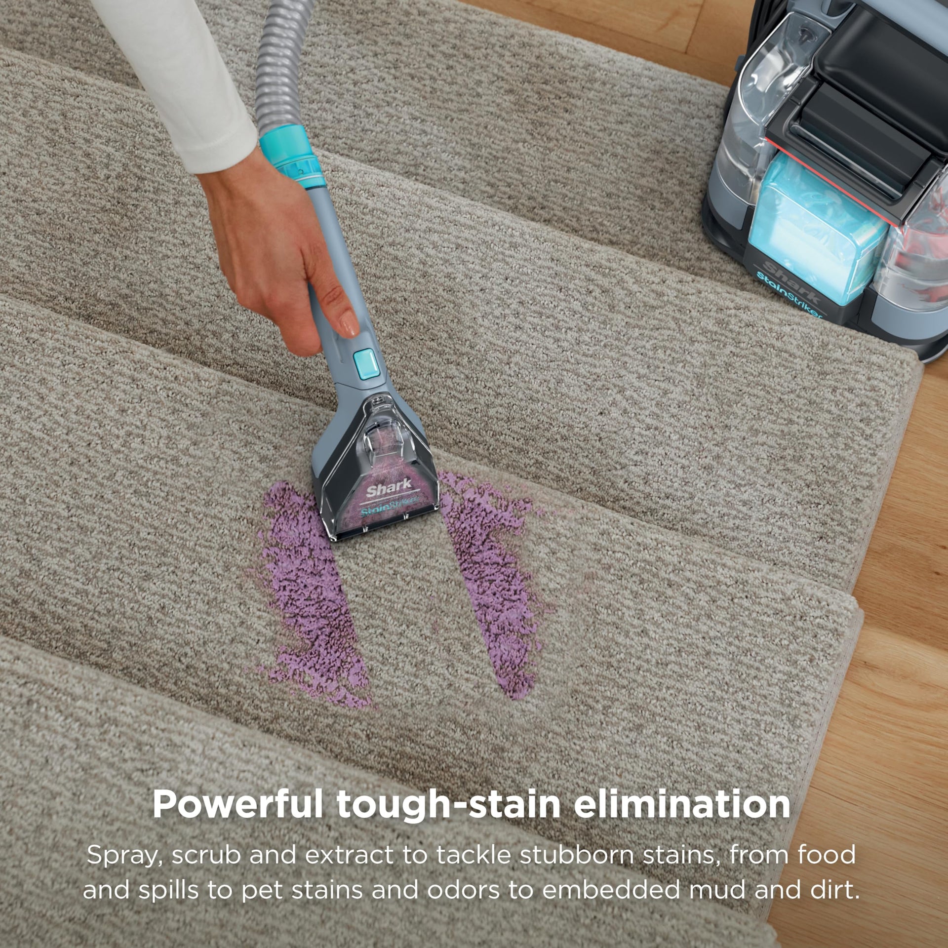 StainStriker Portable Carpet