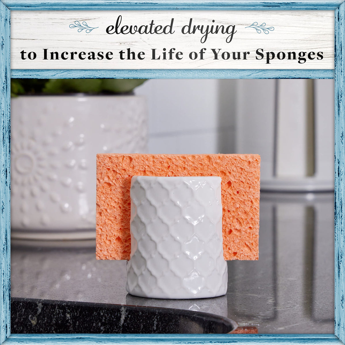 Sponge Holder for Kitchen Sink