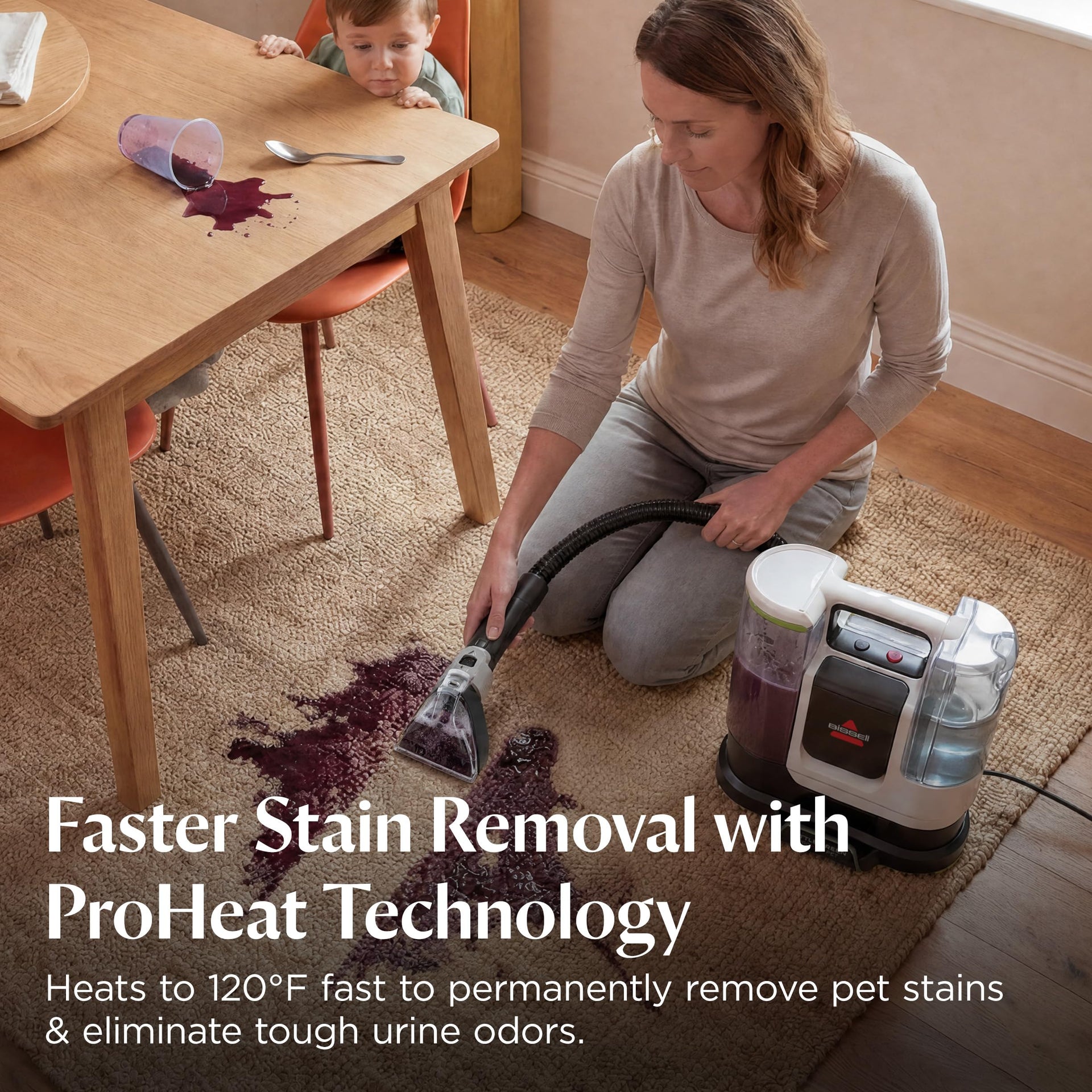 Little Green ProHeat Pet Portable Deep Cleaner