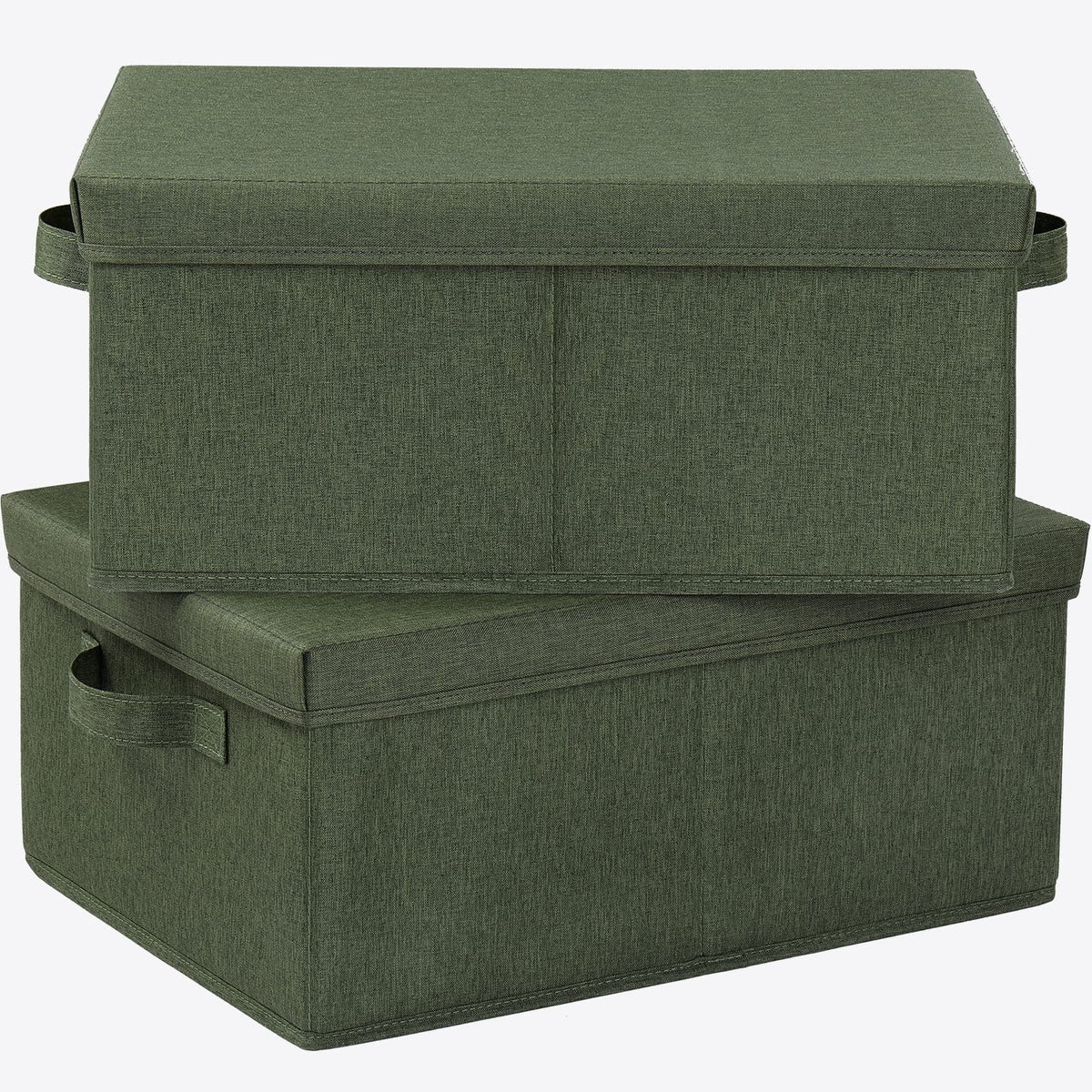 Storage Bins with Lids for Organizing (2 Count)