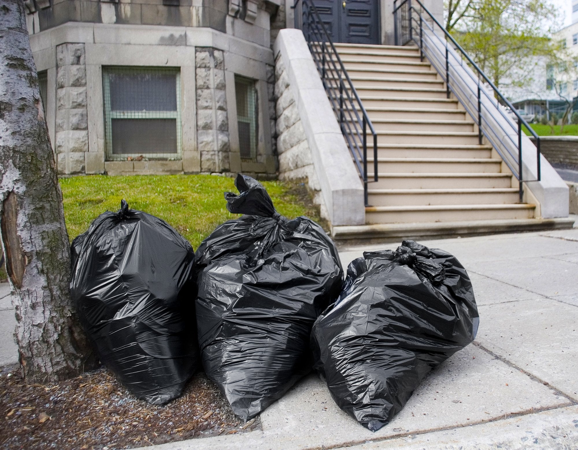 33 Gallon Trash Bags (100 Count)