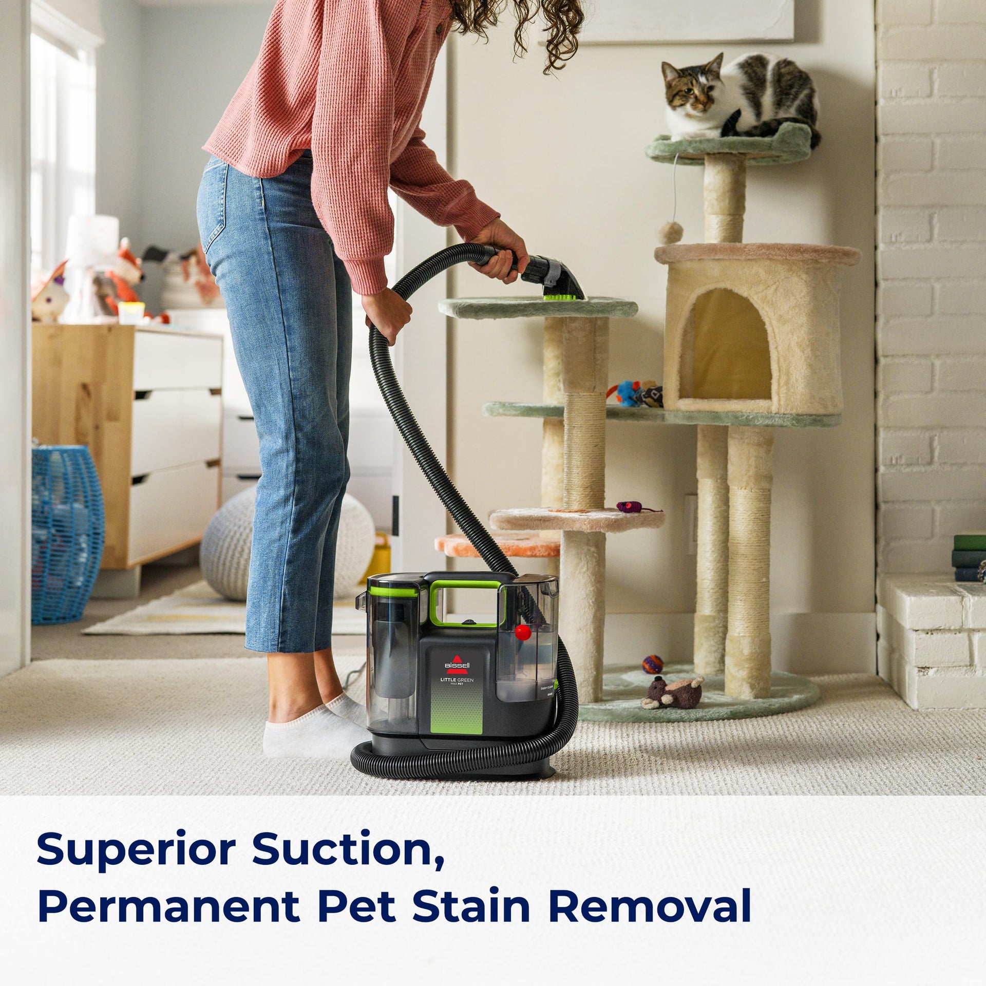 Little Green Max Pet SmartMix Carpet Cleaner
