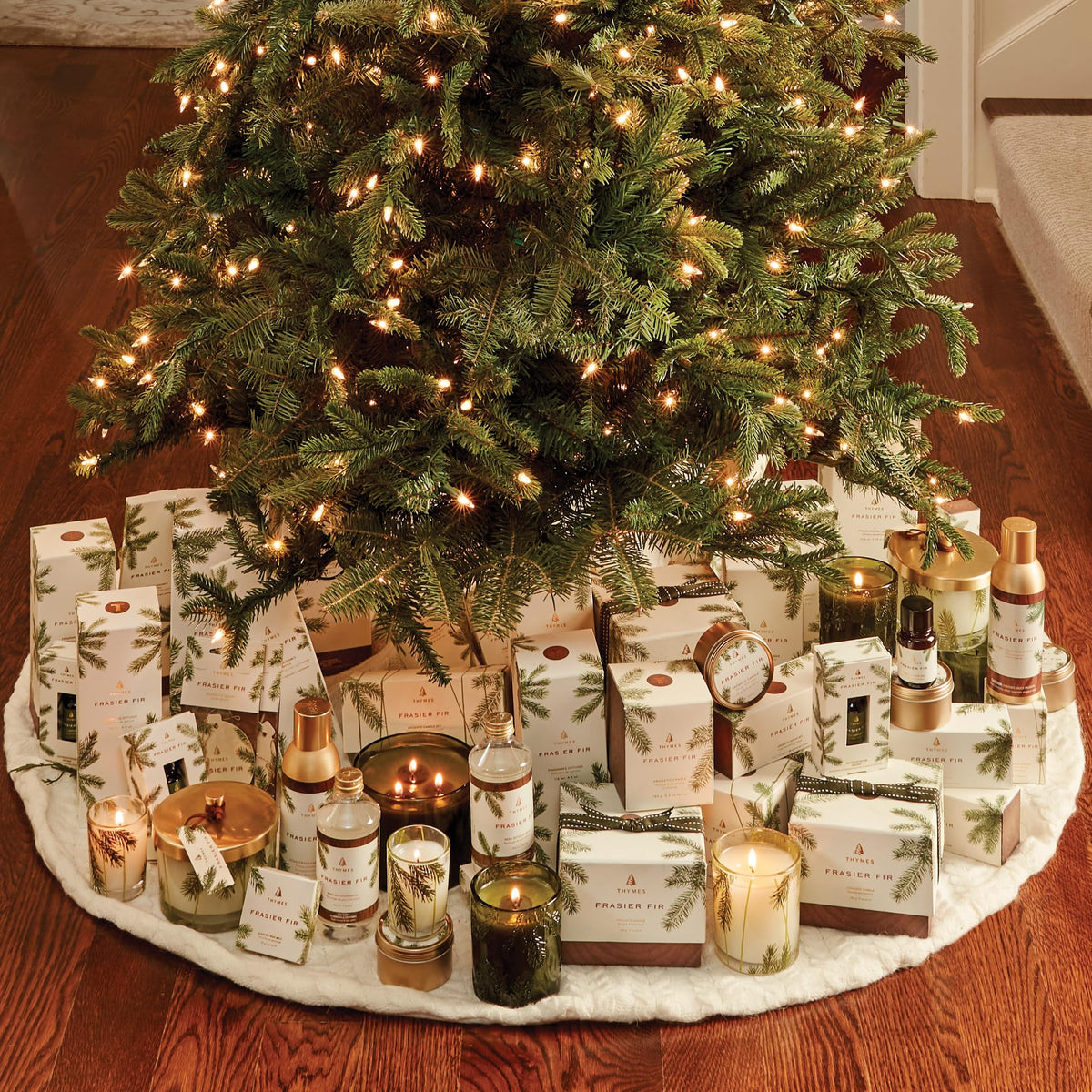 Frasier Fir All