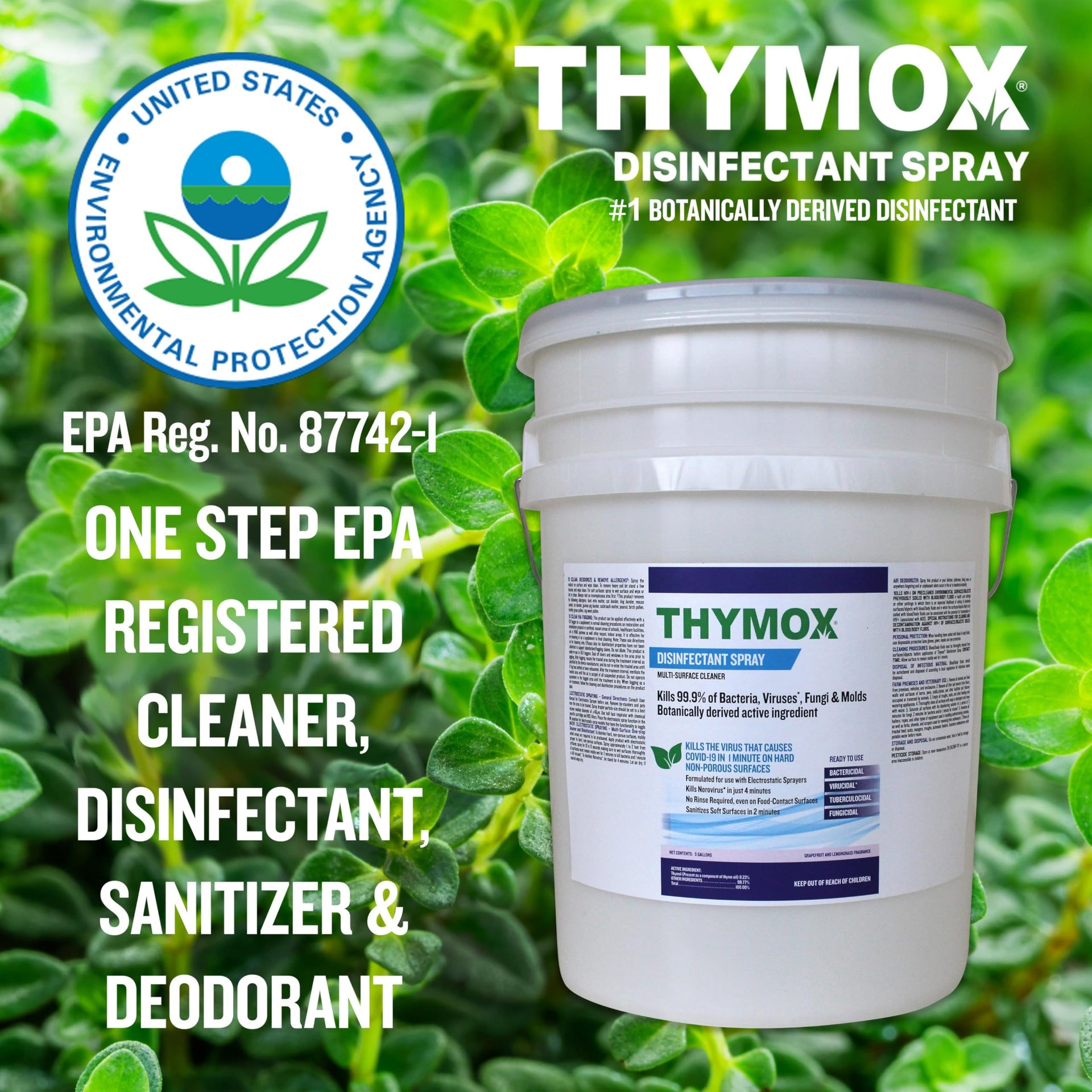 5 Gallon Pail Botanical Disinfectant (640 Fl Oz)