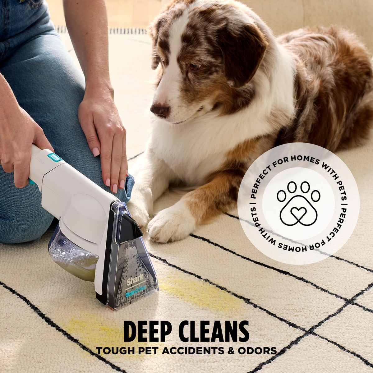 CarpetXpert StainStriker Carpet & Upholstery Cleaner