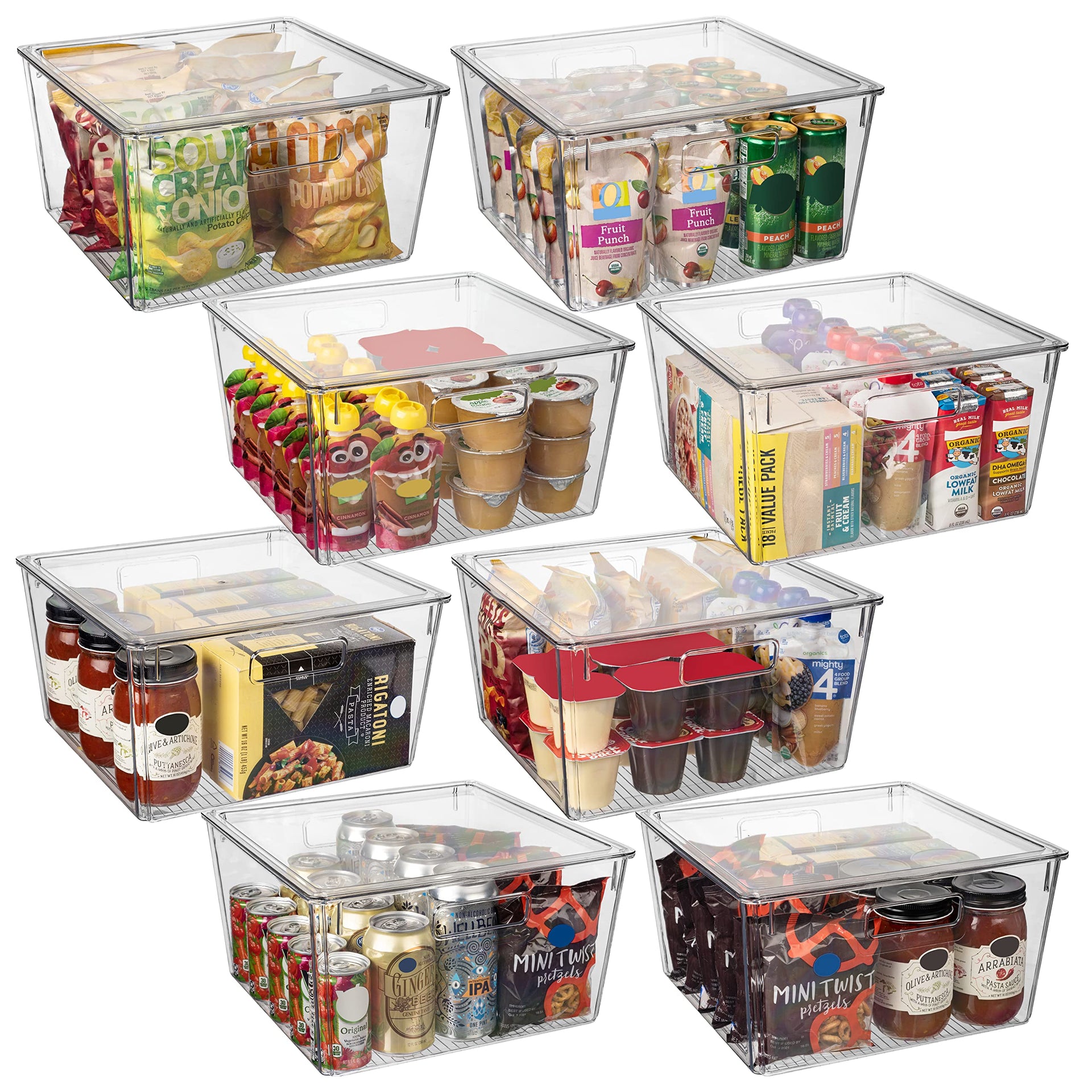 Plastic Storage Bins with Lids