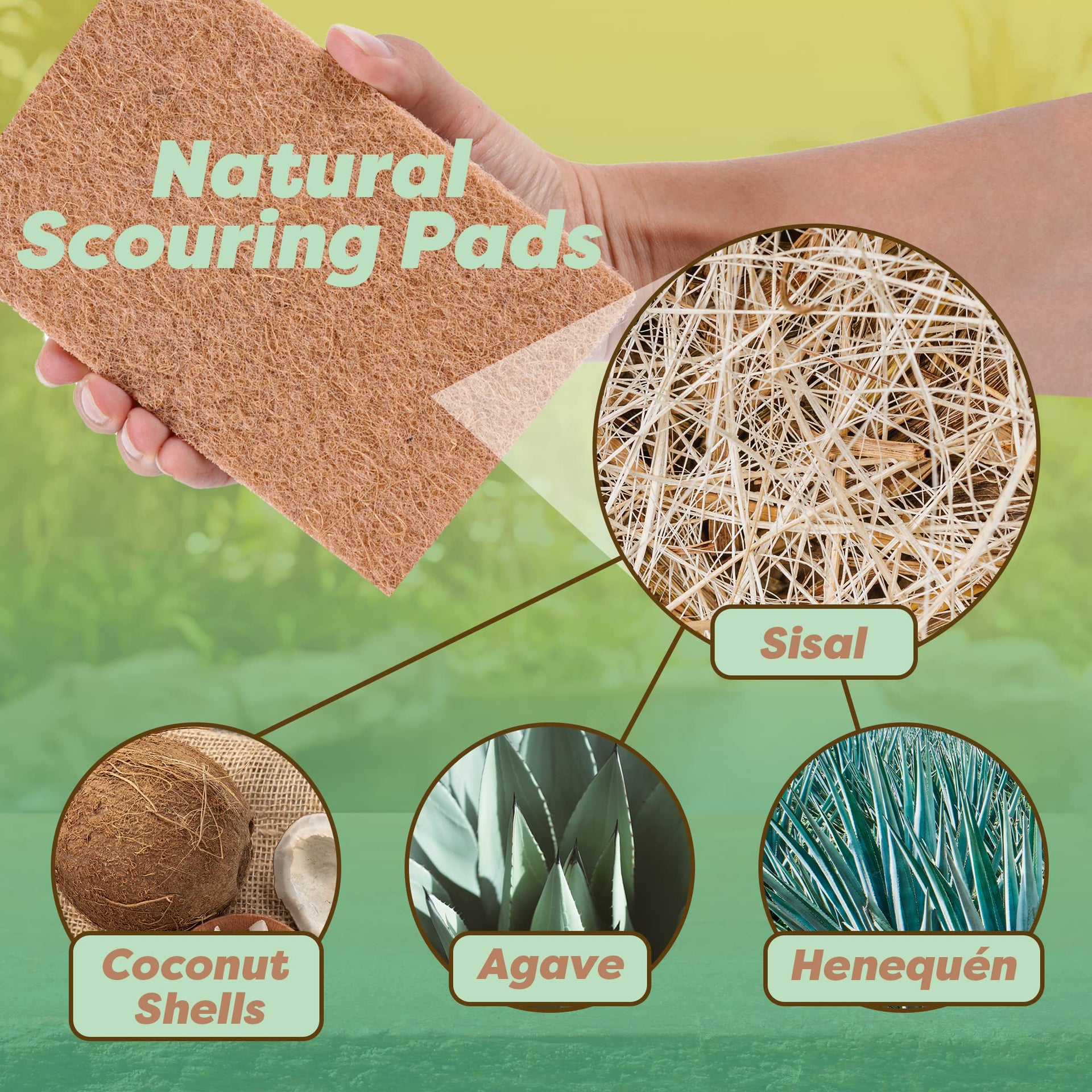 24 Natural Scouring Pads (12 Count)