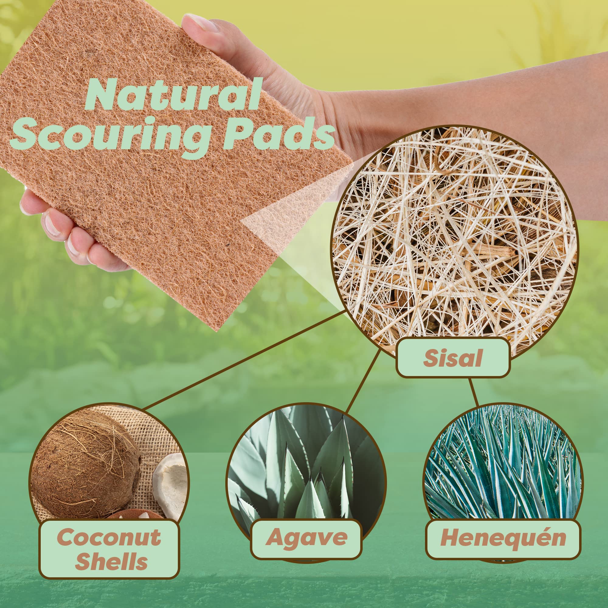 24 Natural Scouring Pads (12 Count)