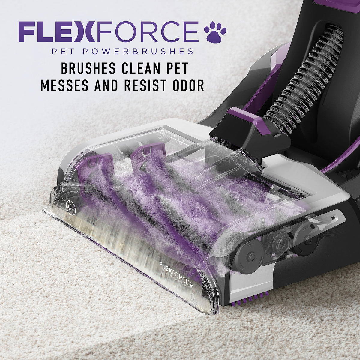 SmartWash Pet Cleaner with Spot Chaser Wand and Storage Mat