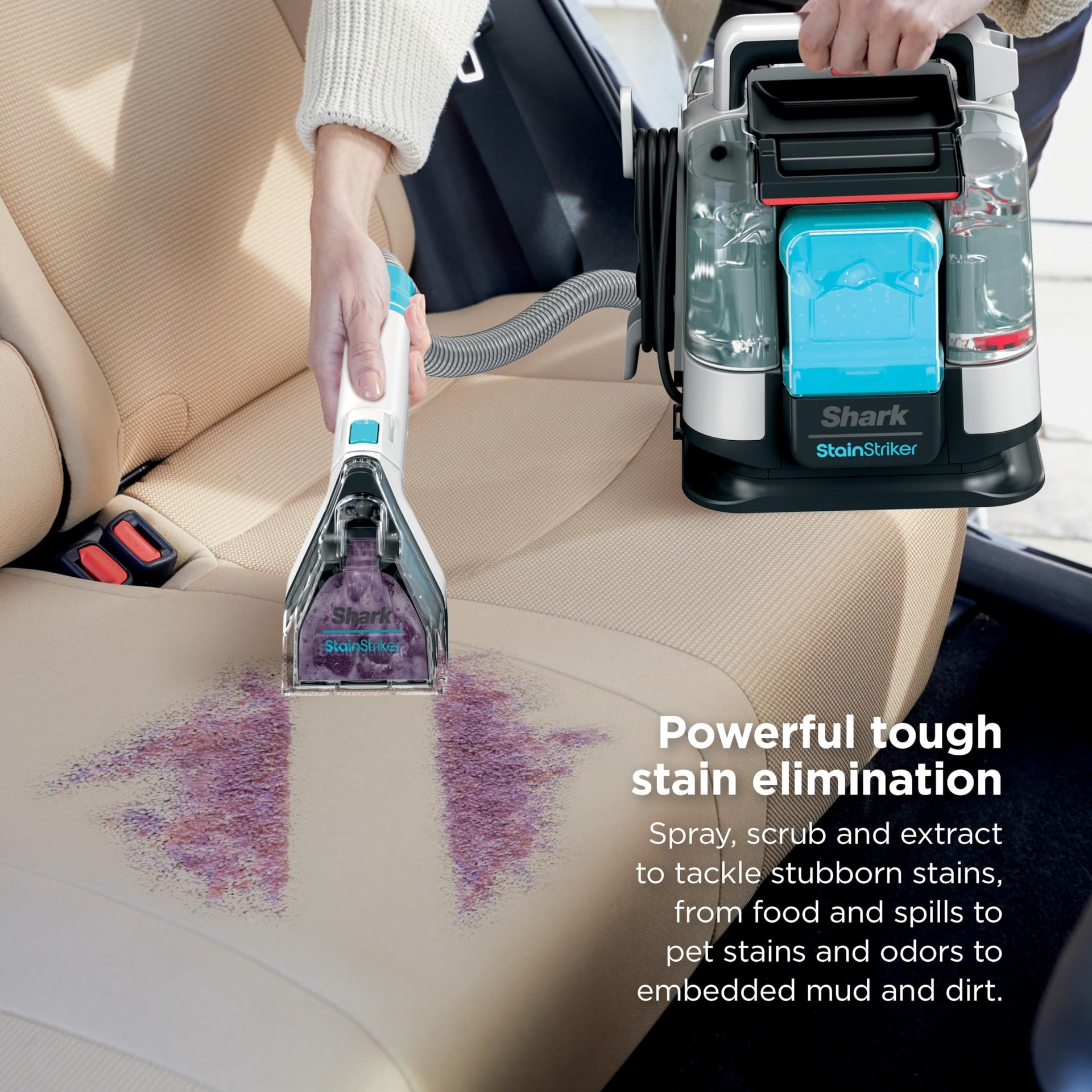 StainStriker Portable Carpet