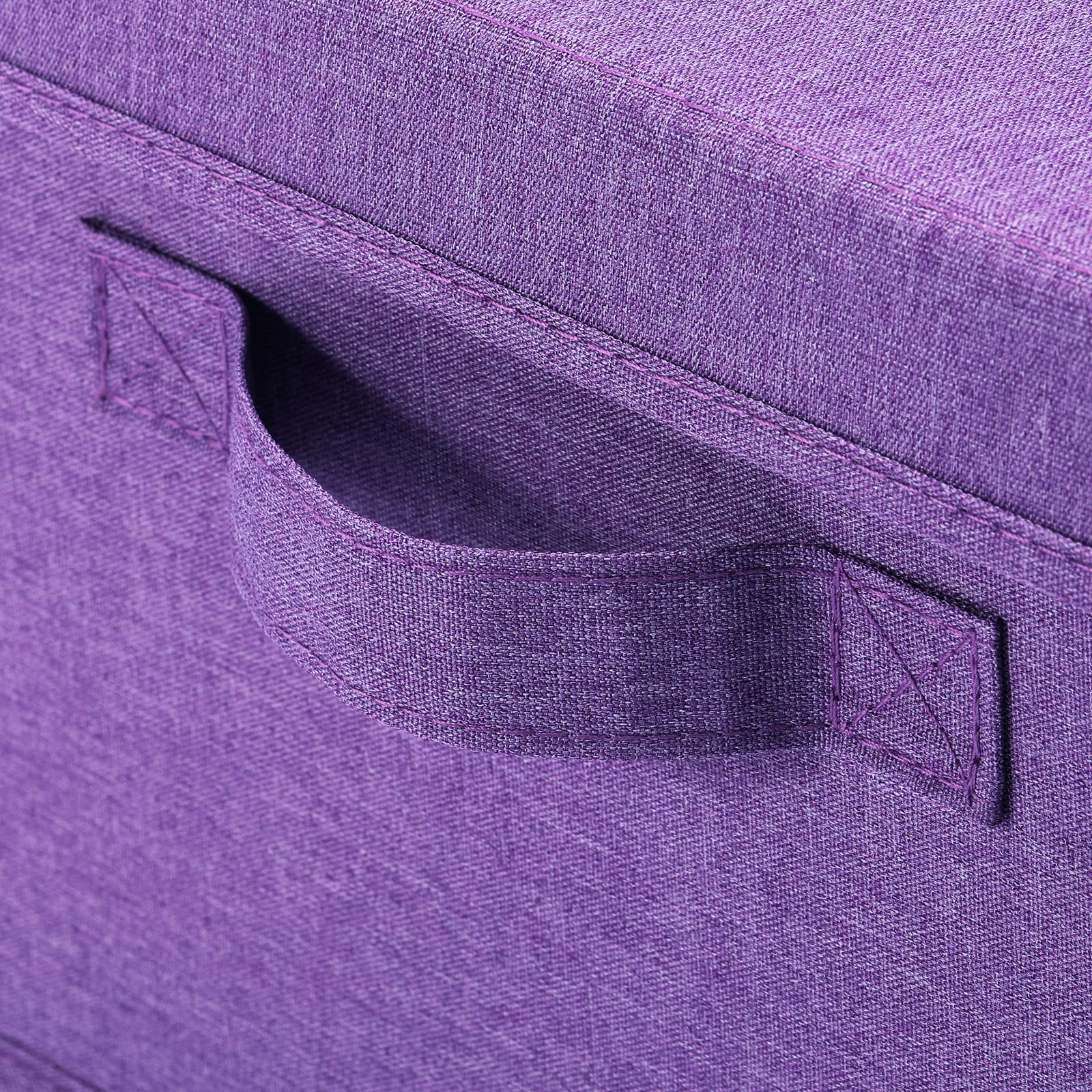 Foldable Storage Bins with Lids (2 Count)