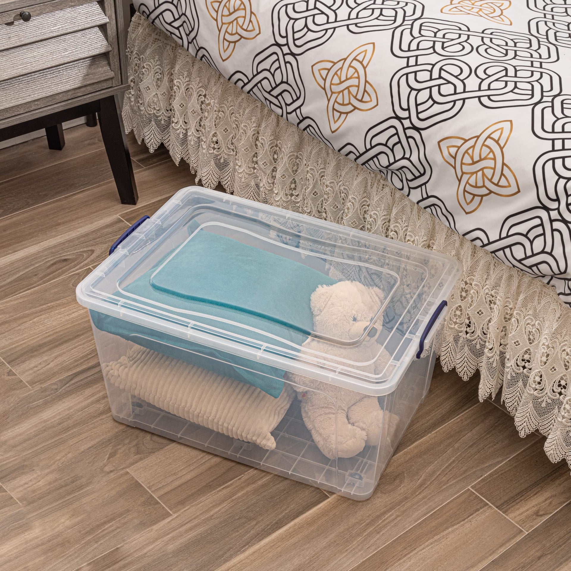 Clear Storage Boxes with Wheels (2 Count)
