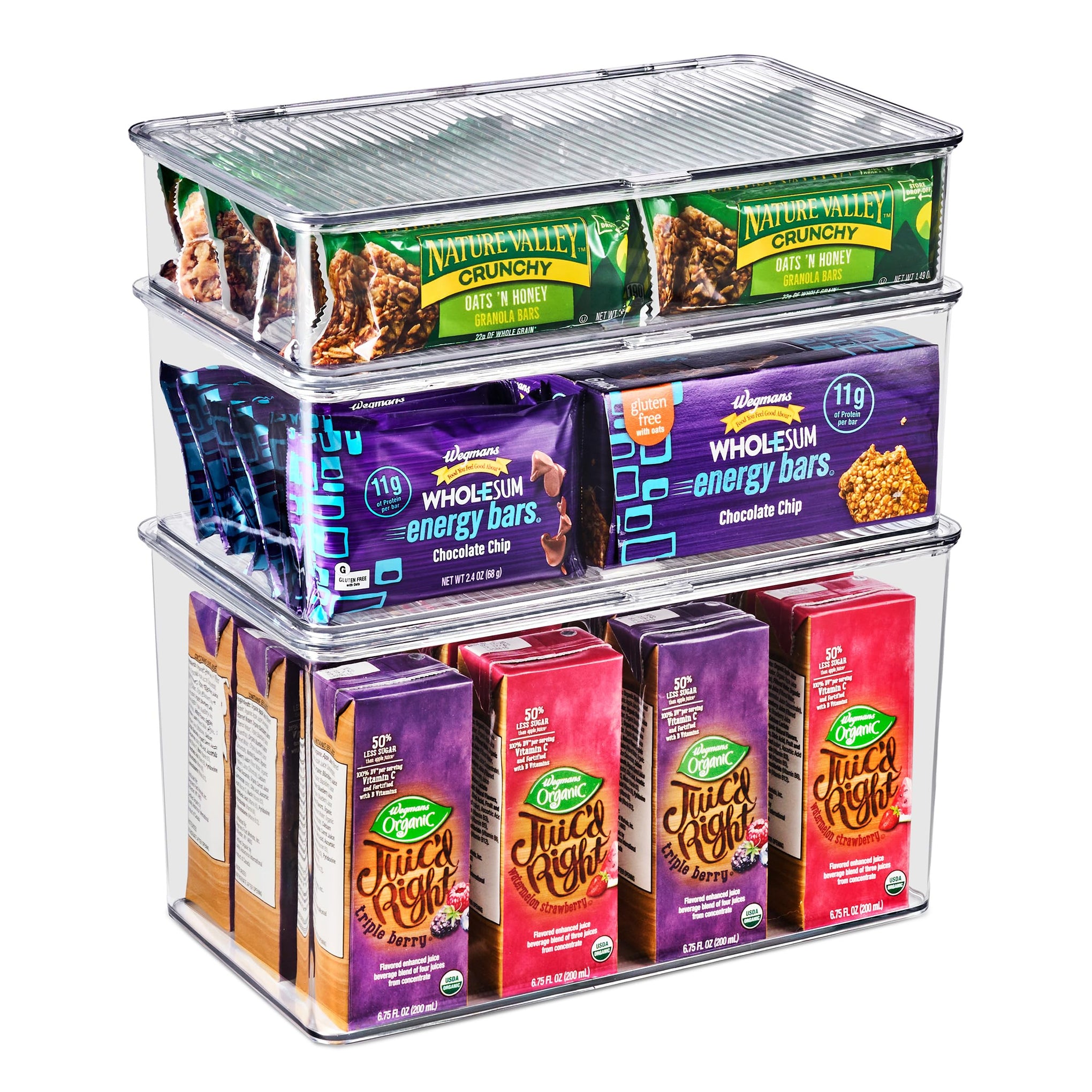 3 Pack Clear Plastic Storage Bins with Lids