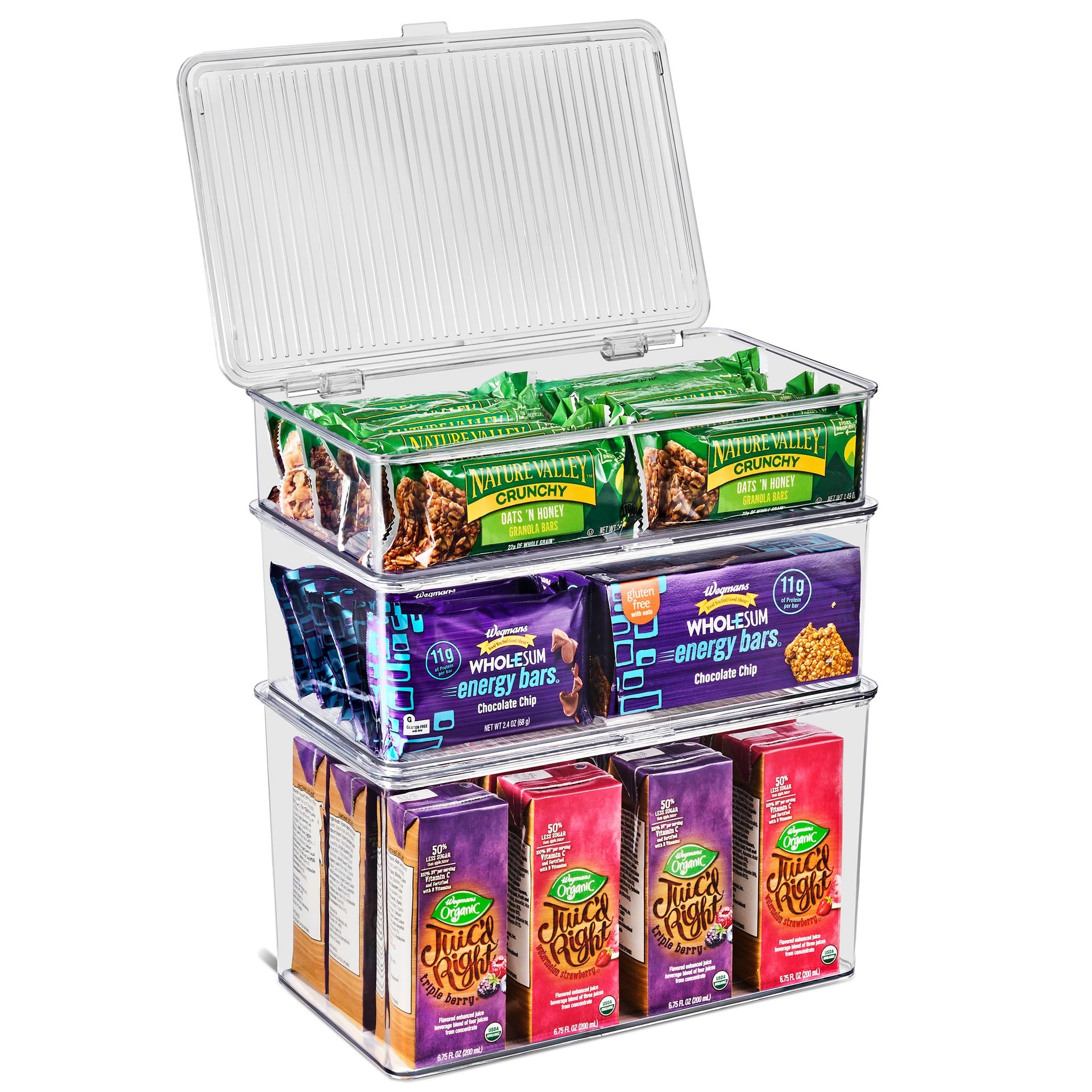 3 Pack Clear Plastic Storage Bins with Lids