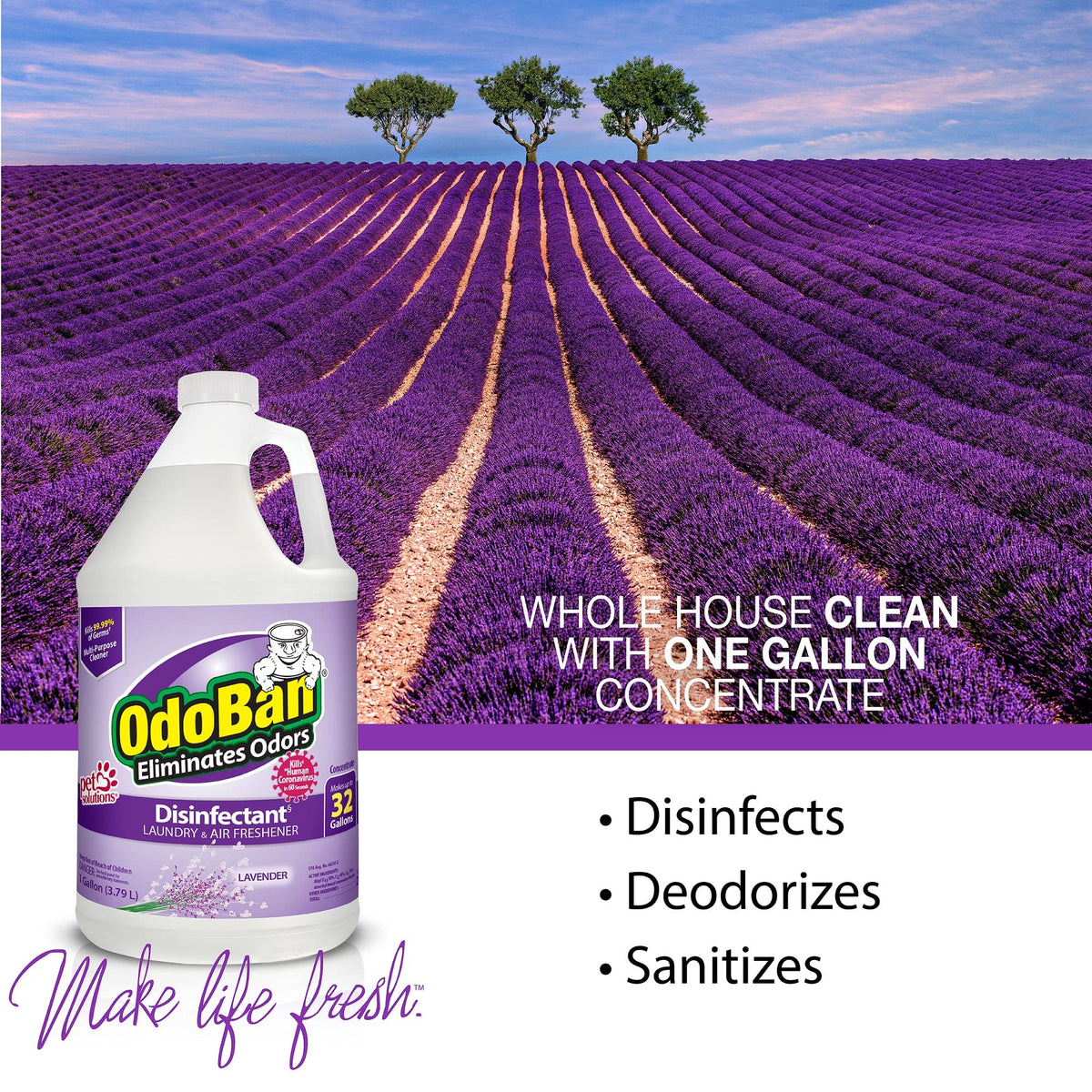 Ready-to-Use Disinfectant and Harsh Aroma Eliminator, Set of 2, 14.6 Ounce 360-Degree Continuous Spray Fabric/Air Freshener and 1 Gallon Multi-Purpose Cleaning Concentrate, Lavender Scent (142.6 Fl Oz)
