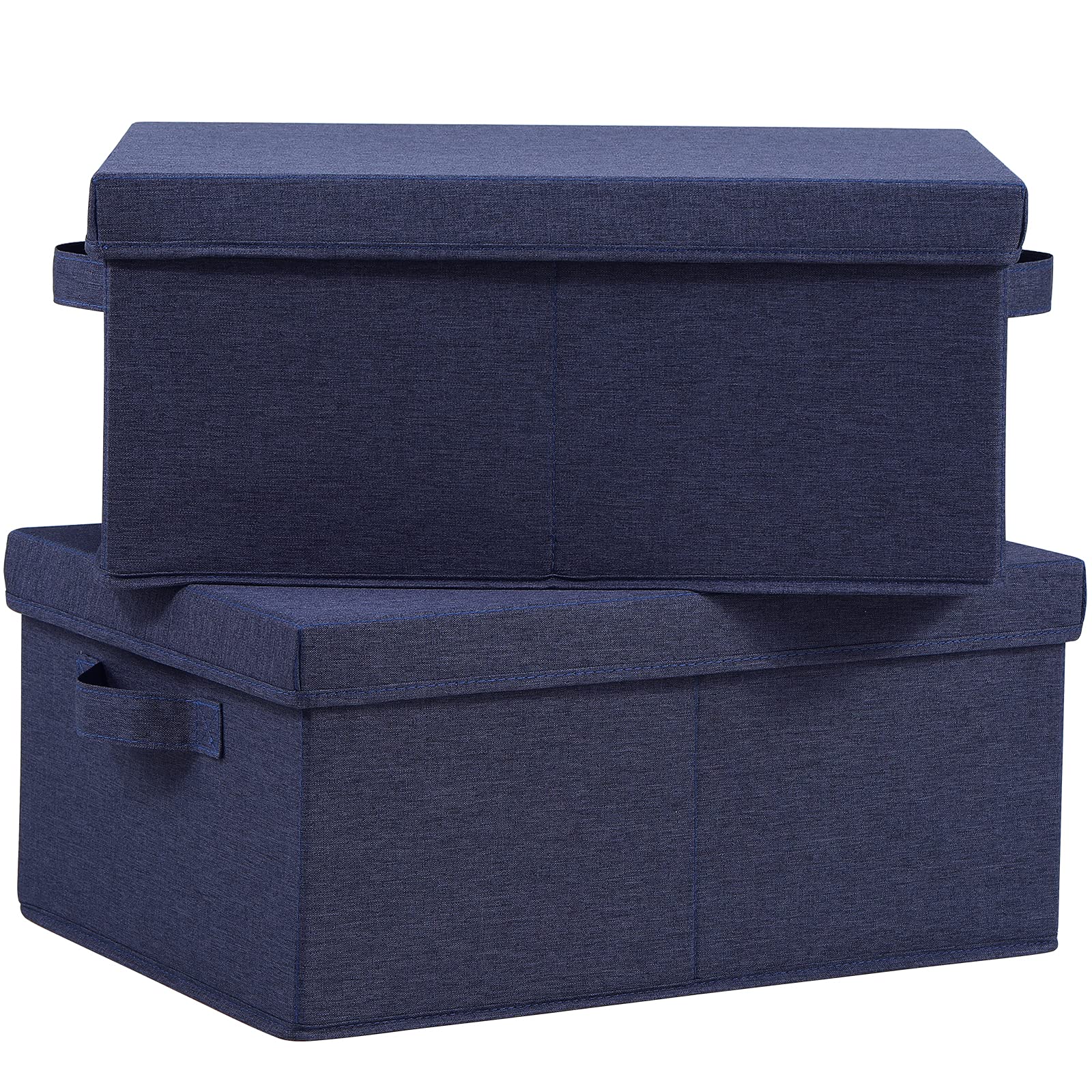 Foldable Storage Bins with Lids (2 Count)