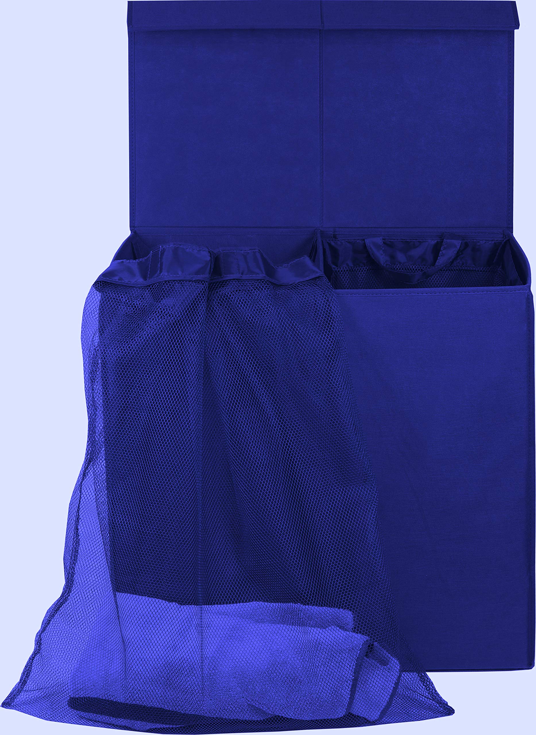 Double Laundry Hamper with Lid & Removable Bags
