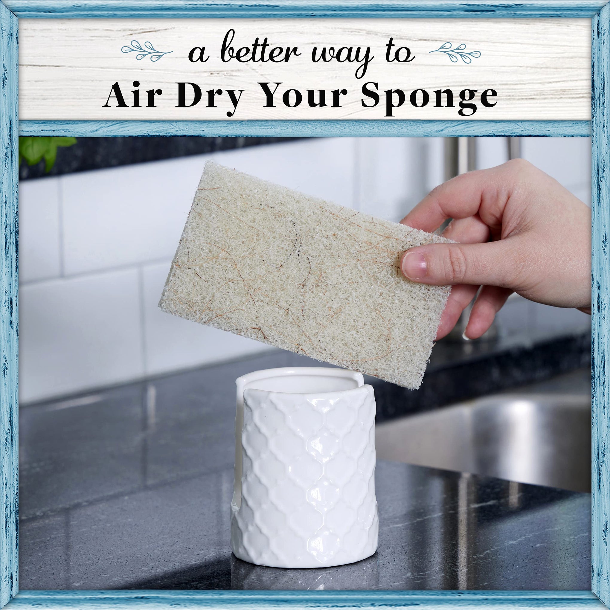 Sponge Holder for Kitchen Sink