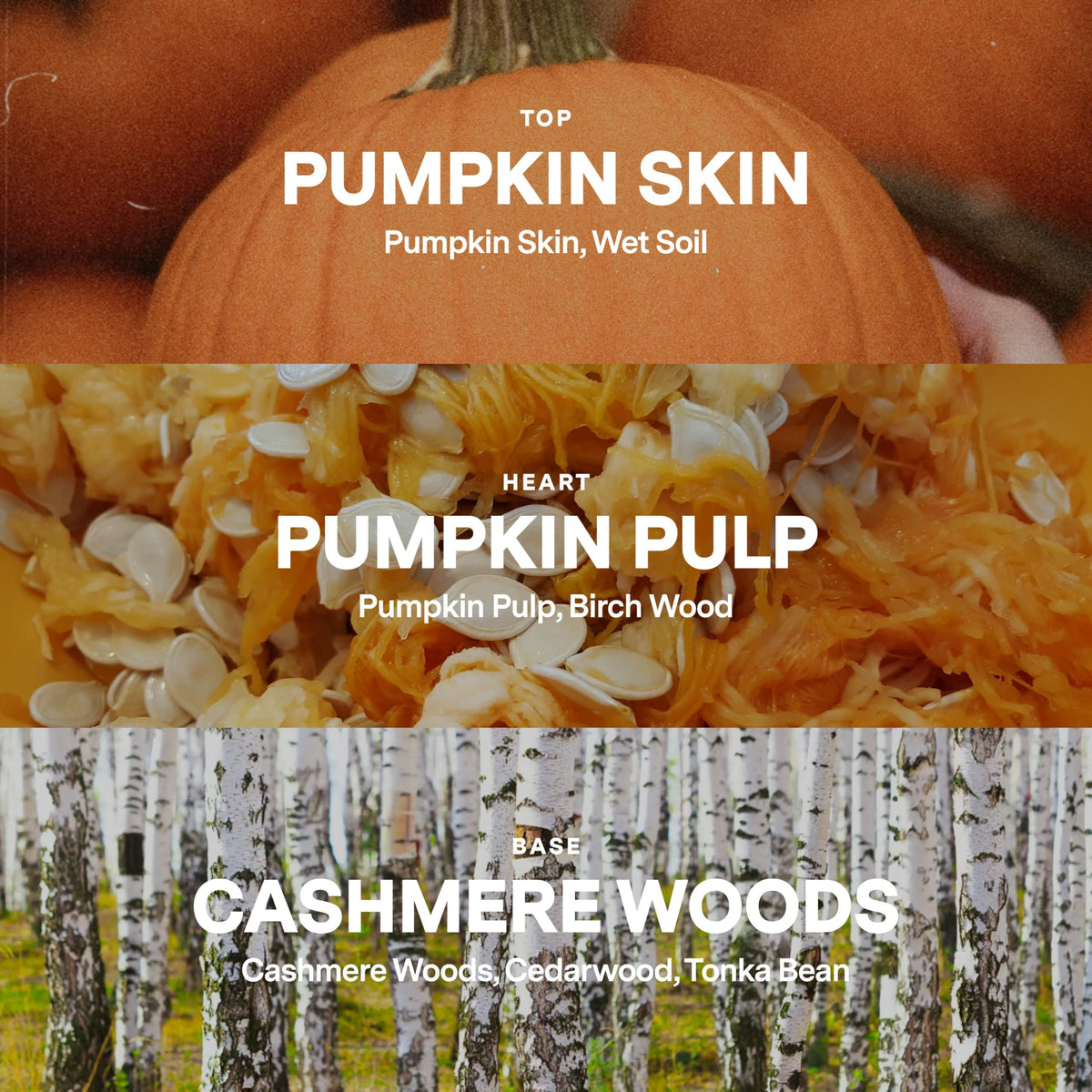 Siblings Candle Refill Kit Last Picked Pumpkin Spice Scent