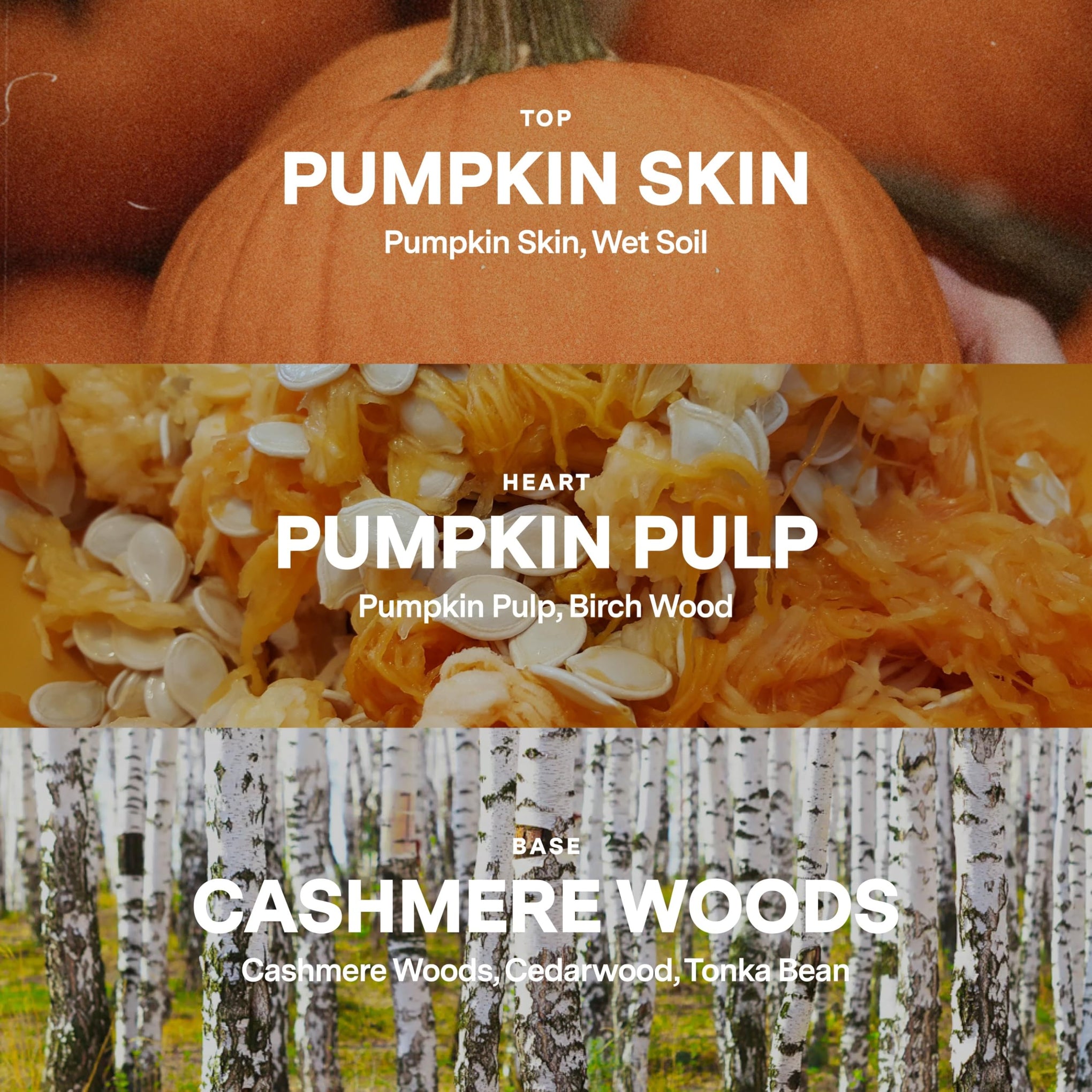 Siblings Candle Refill Kit Last Picked Pumpkin Spice Scent